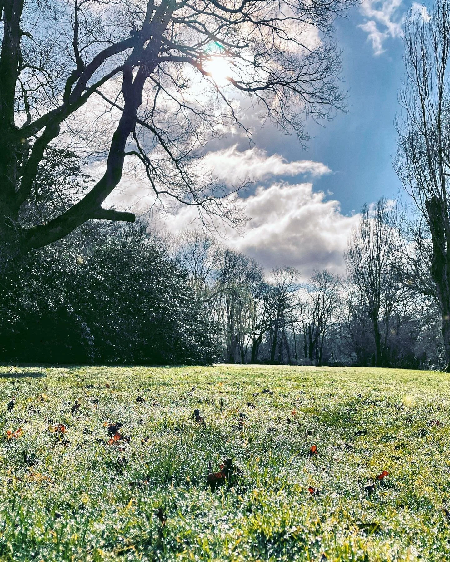 Is there anything better than a walk through dewy grass? What a beautiful, sparkling morning. Happy Friday 🙌