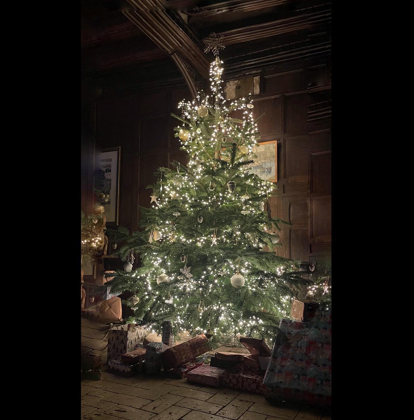 We are delighted to announce that we will be doing two very special Evening Christmas House Guided Tours on Saturday 3rd and 10th December finishing with Mince Pies and Mulled wine next to the Christmas Tree in the Great Hall. You&rsquo;ll also get a