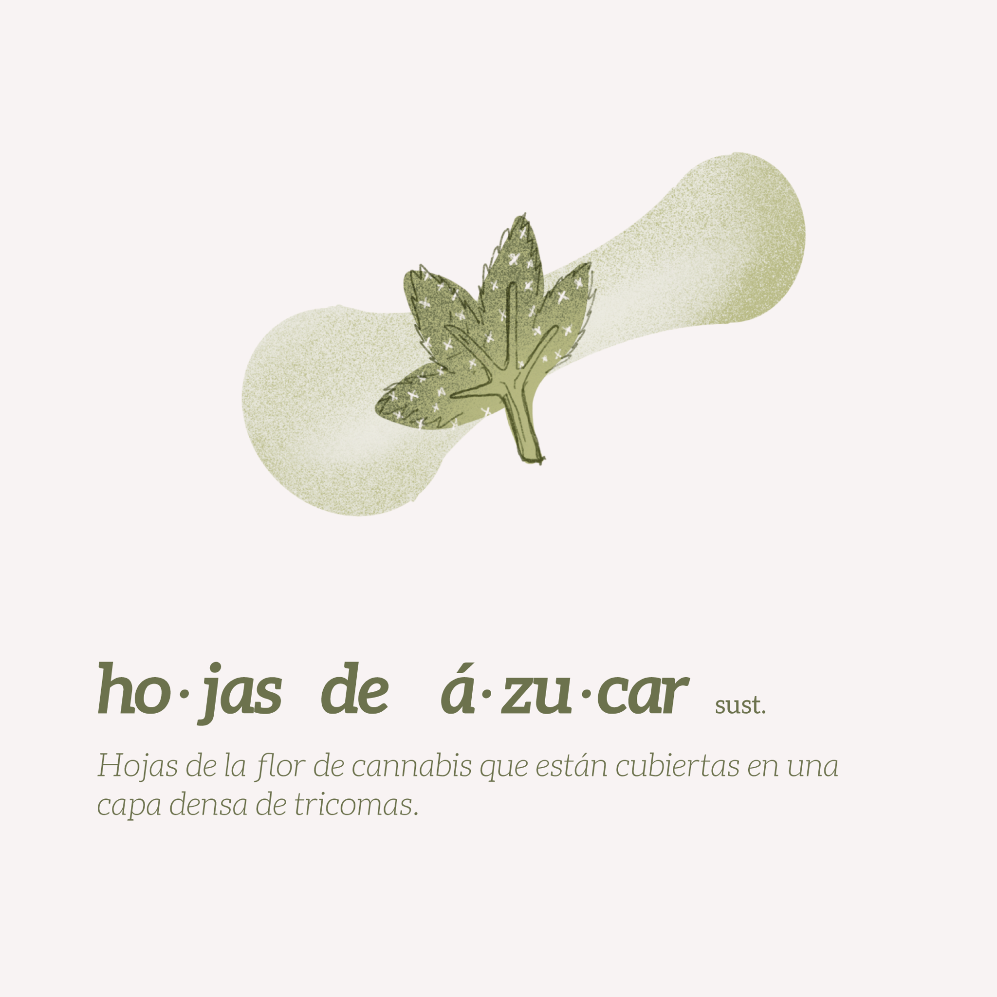 Glosario de Cannabis_hojas de azucar.png