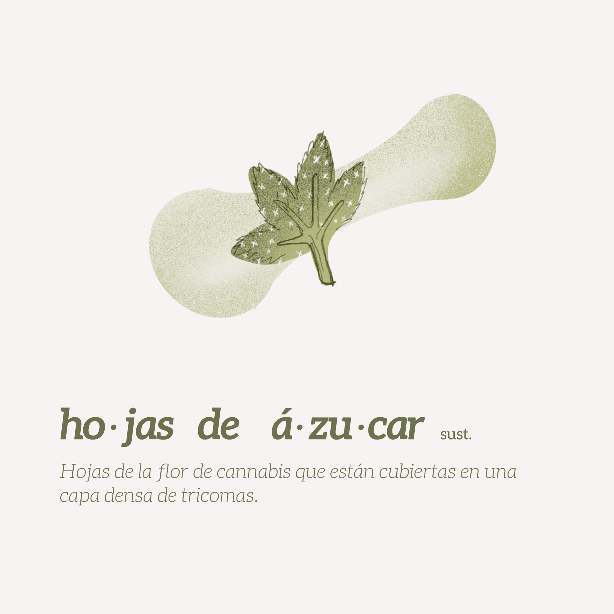 glosario-cannabis-hojasdeazucar-adlc-graphic-design-studio-puerto-rico.png