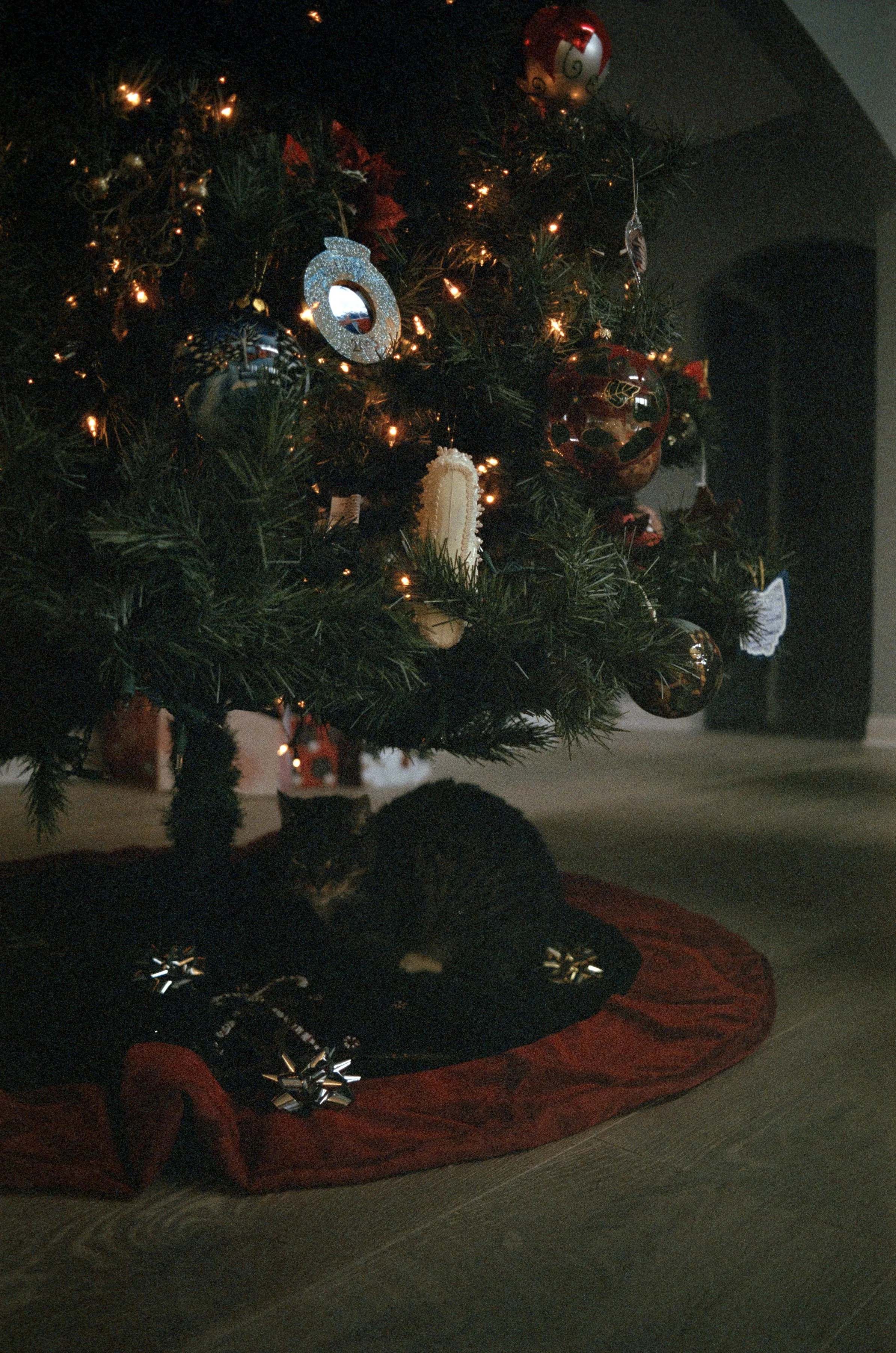 Minolta SRT 101; 35mm 