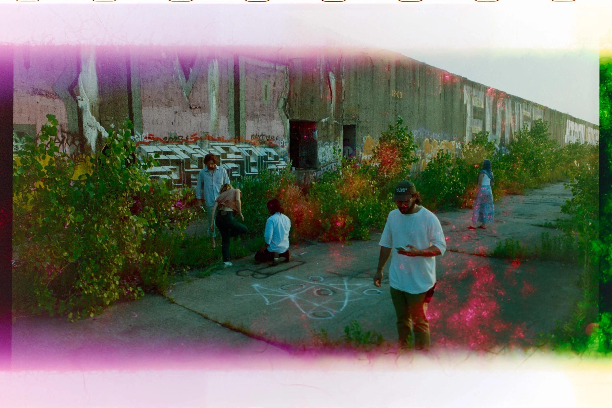 Minolta SRT 101; 35mm 