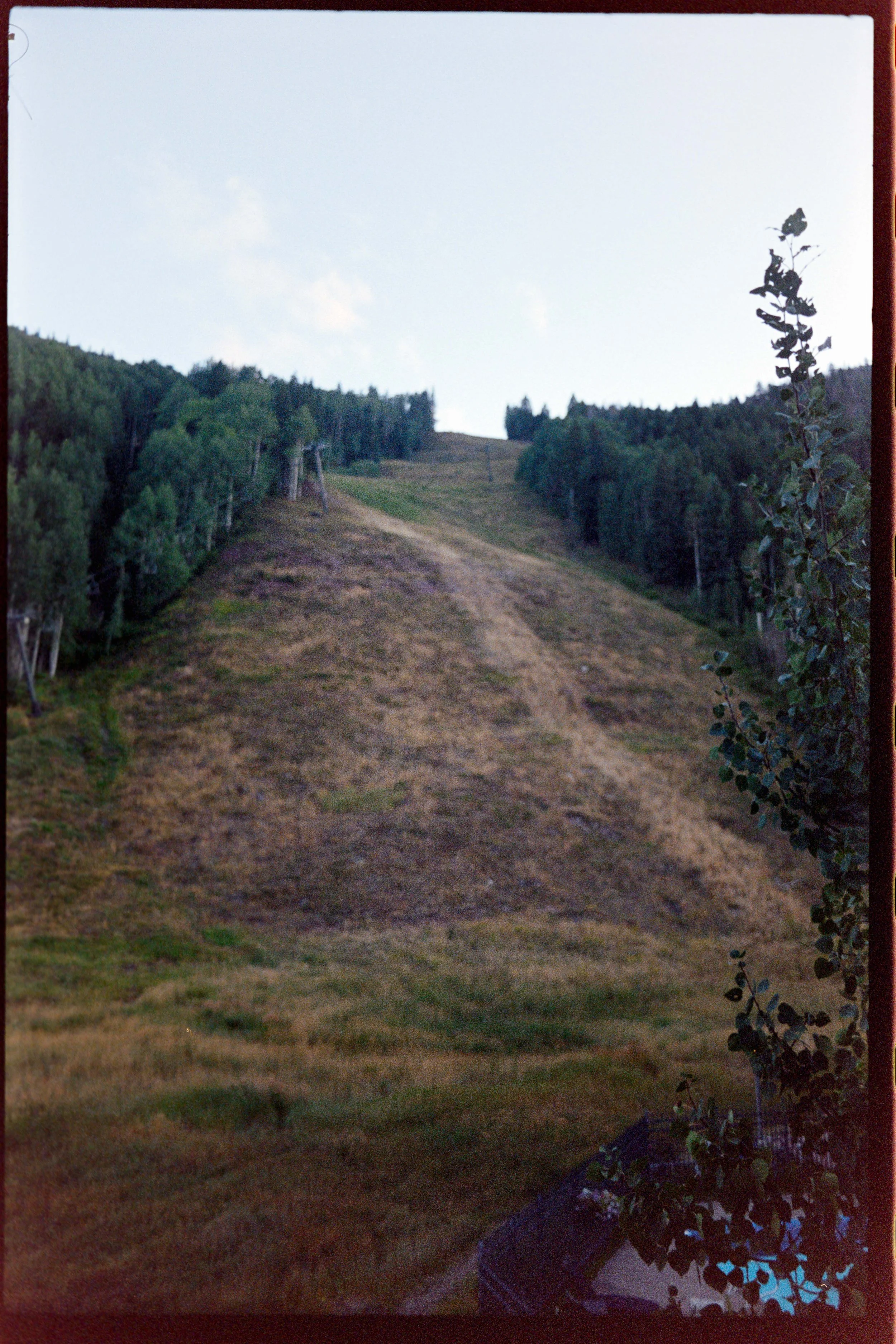 Minolta SRT 101; 35mm 