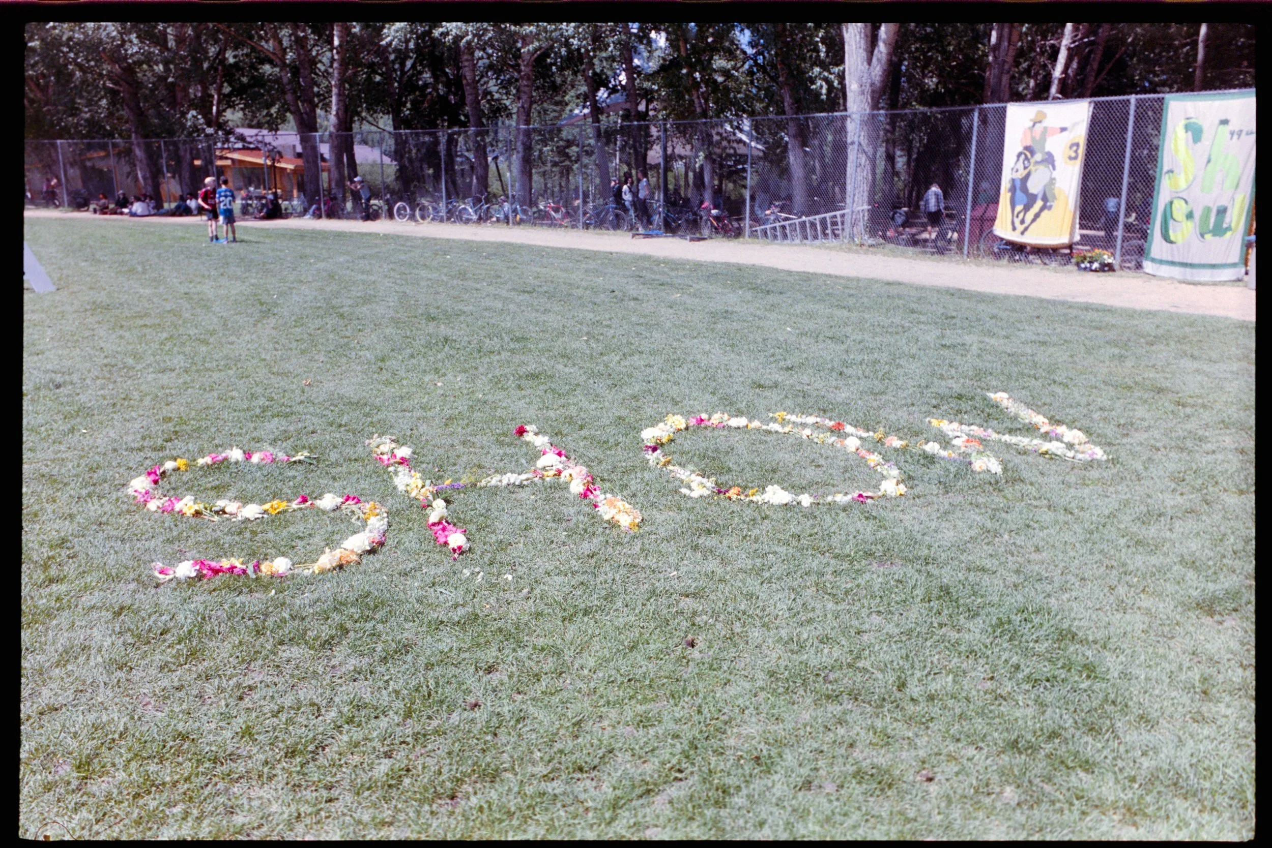 Minolta SRT 101; 35mm 