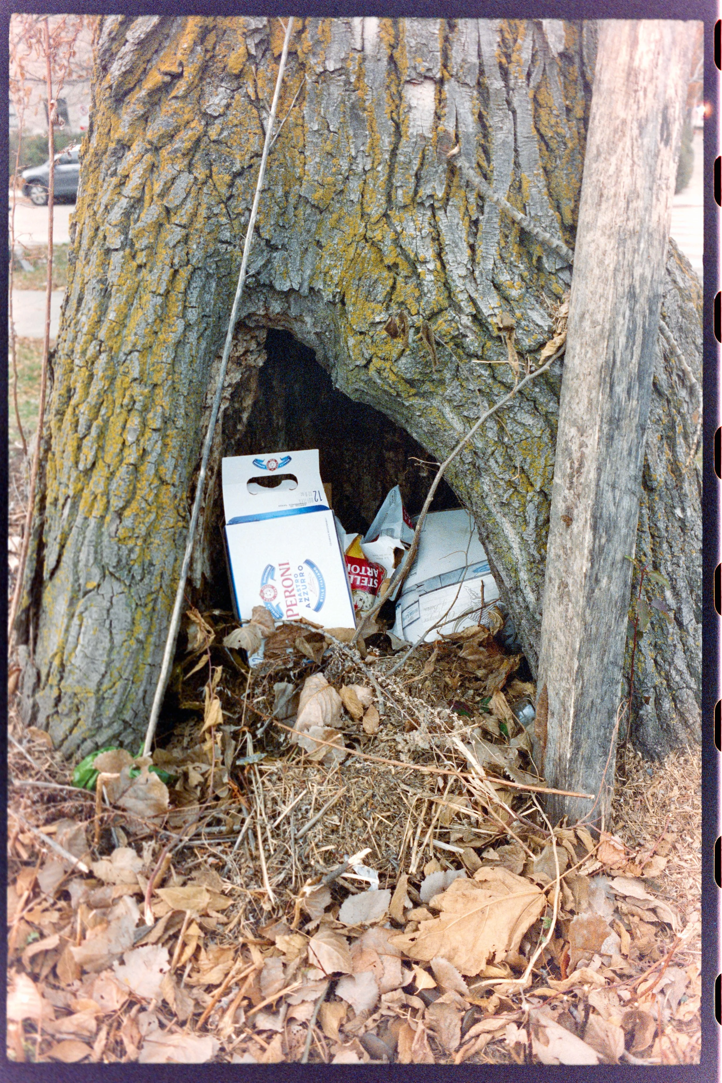 Minolta SRT 101; 35mm 