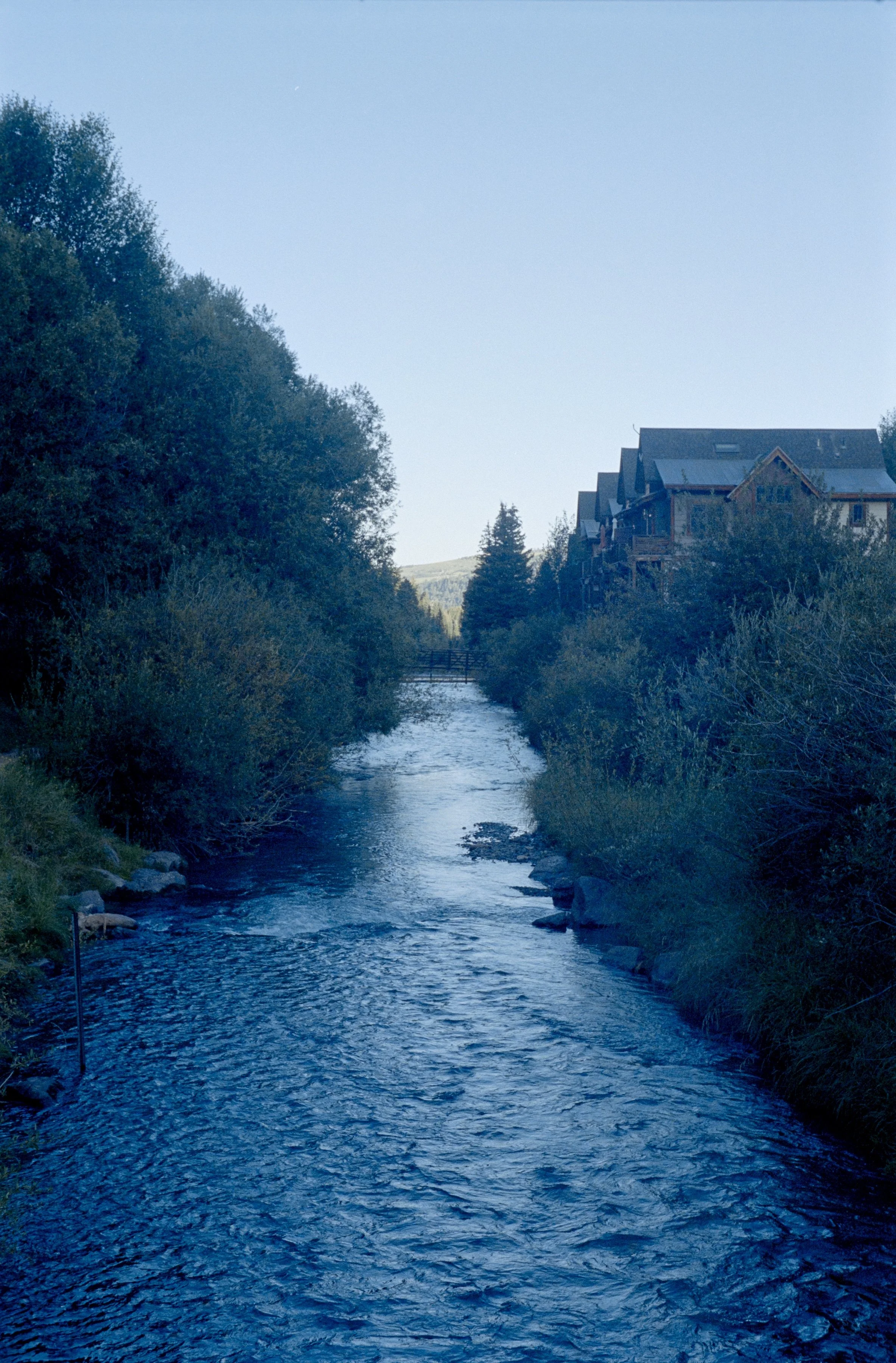 Minolta SRT 101; 35mm 