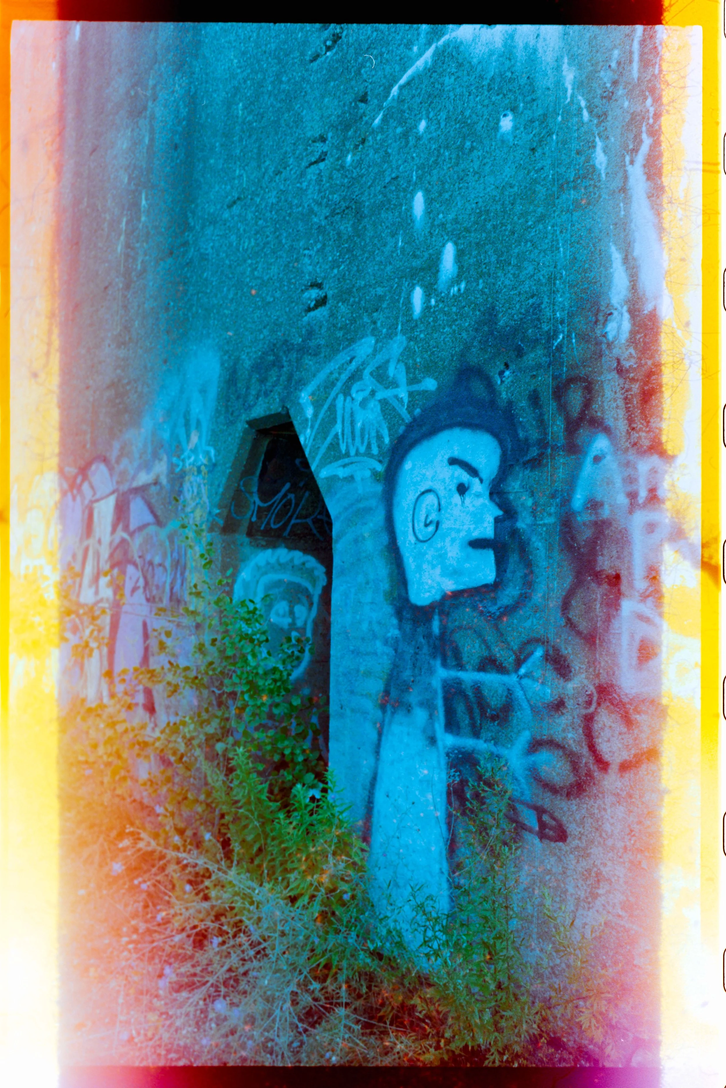 Minolta SRT 101; 35mm 