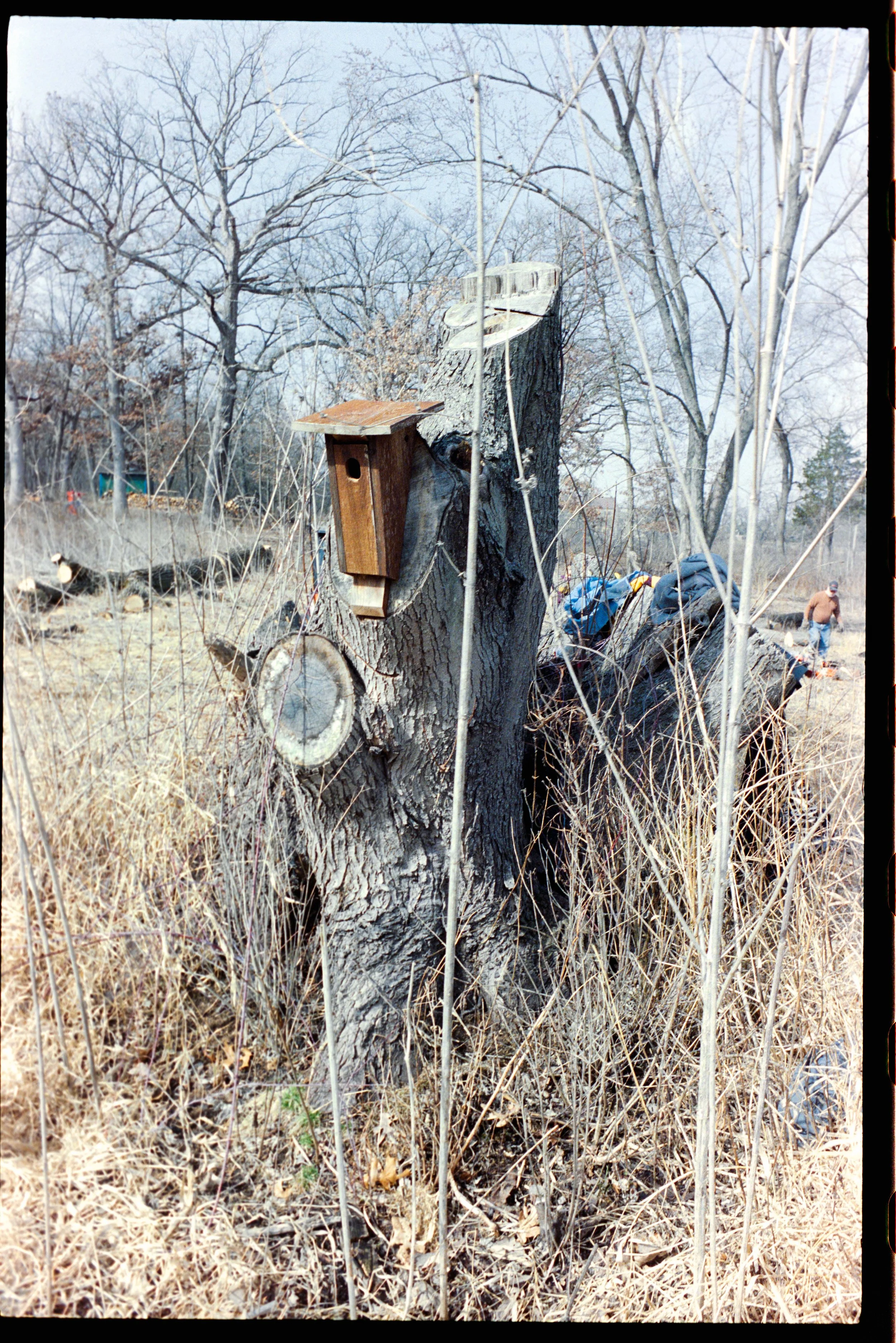 Minolta SRT 101; 35mm 