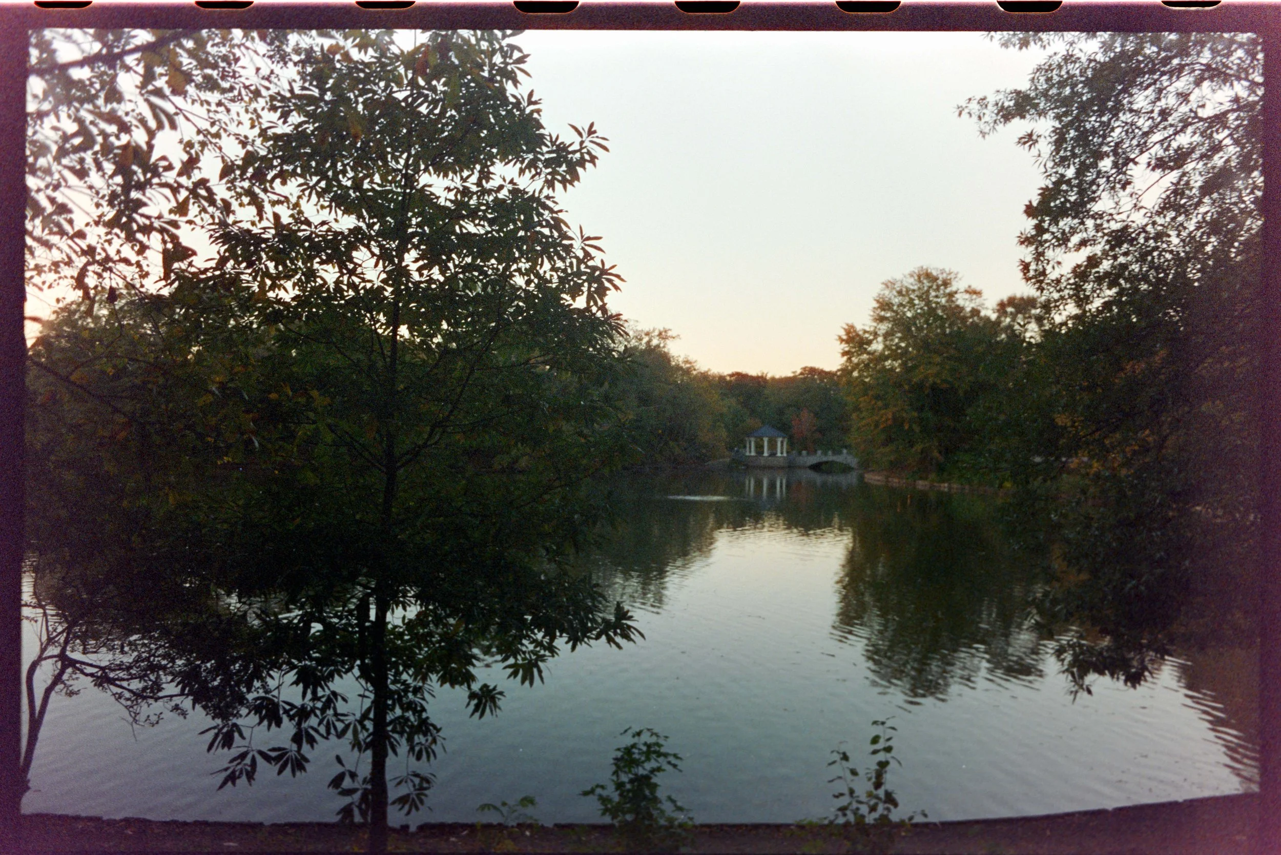 Minolta SRT 101; 35mm 