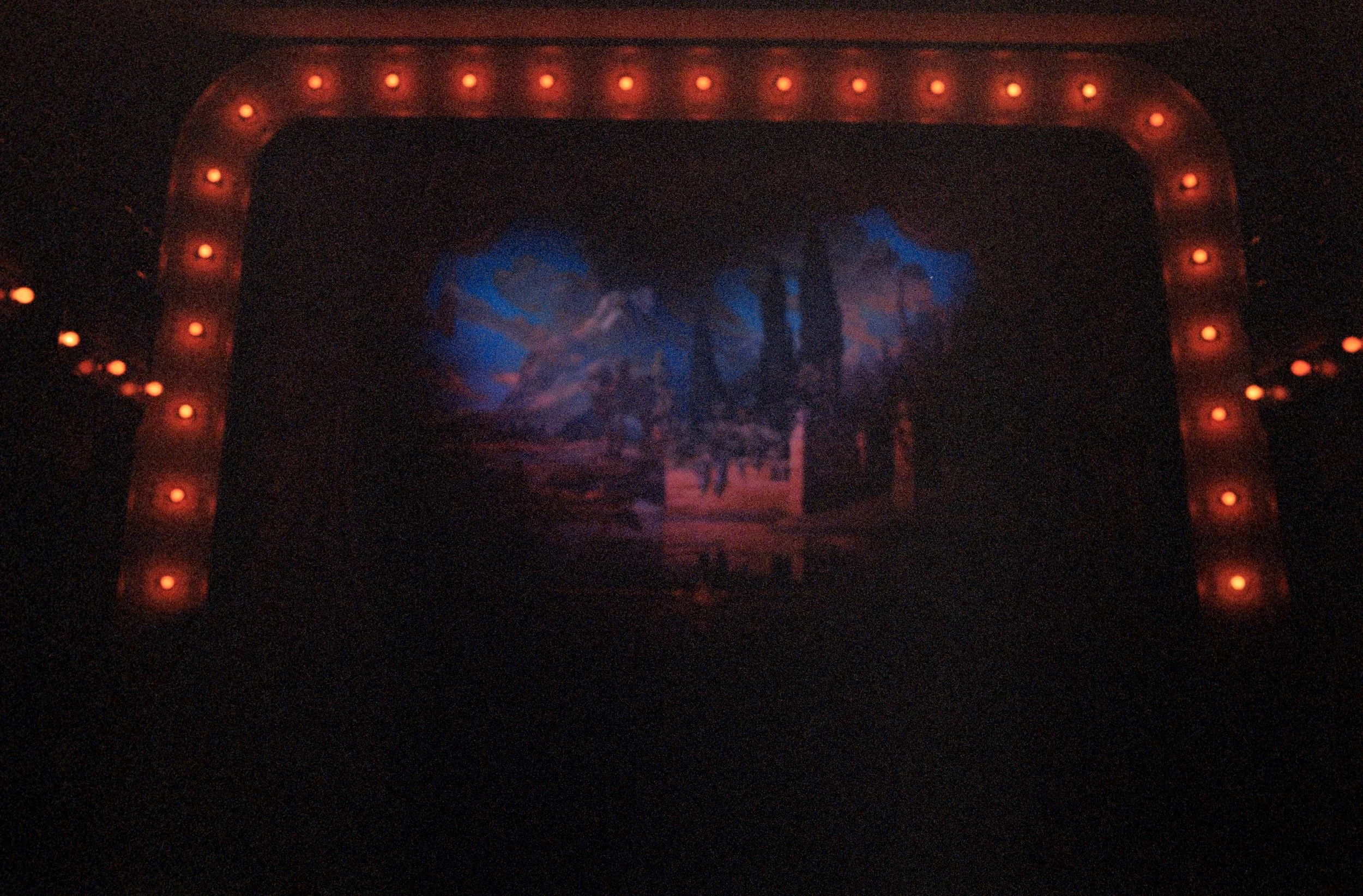 Minolta SRT 101; 35mm 