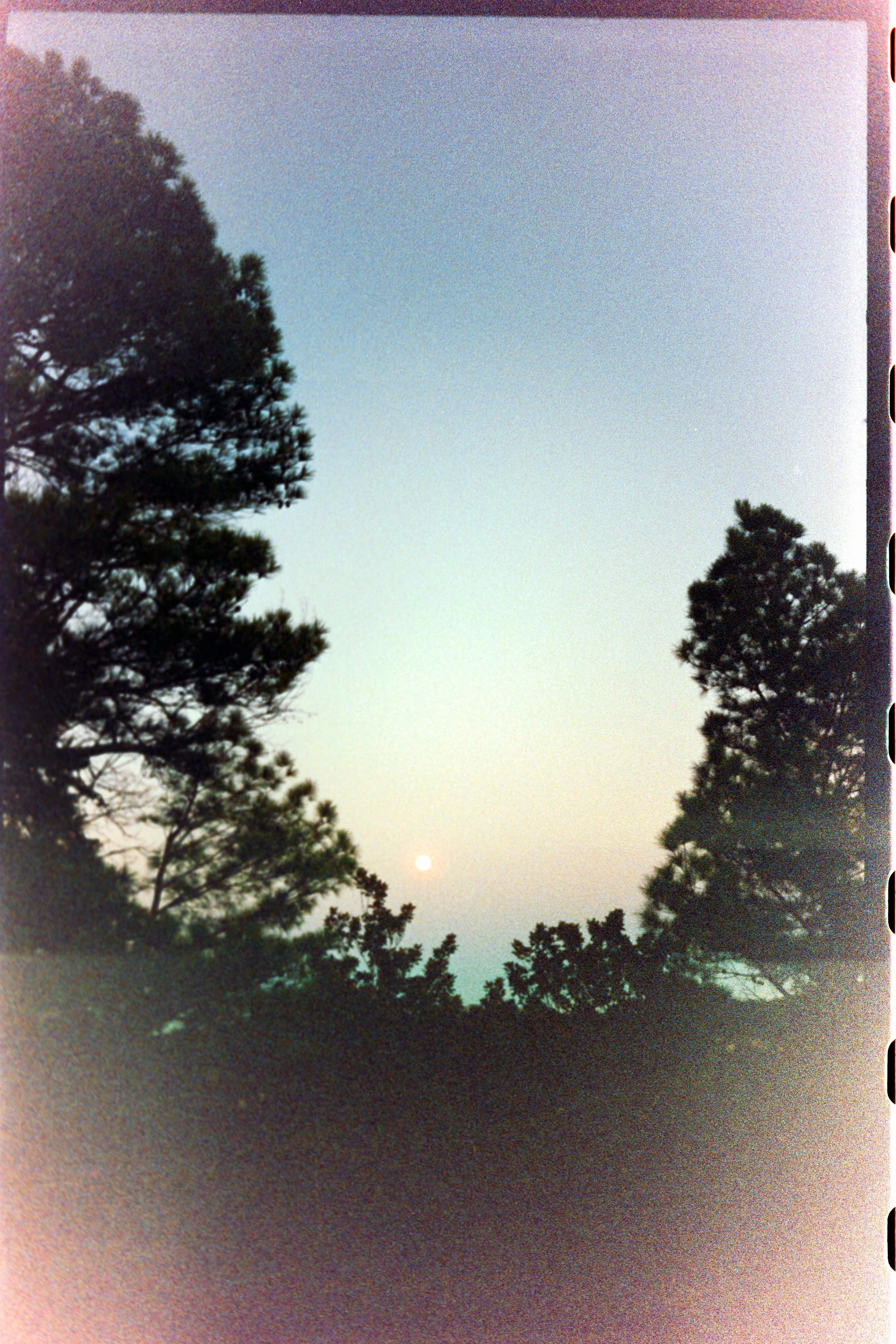 Minolta SRT 101; 35mm 