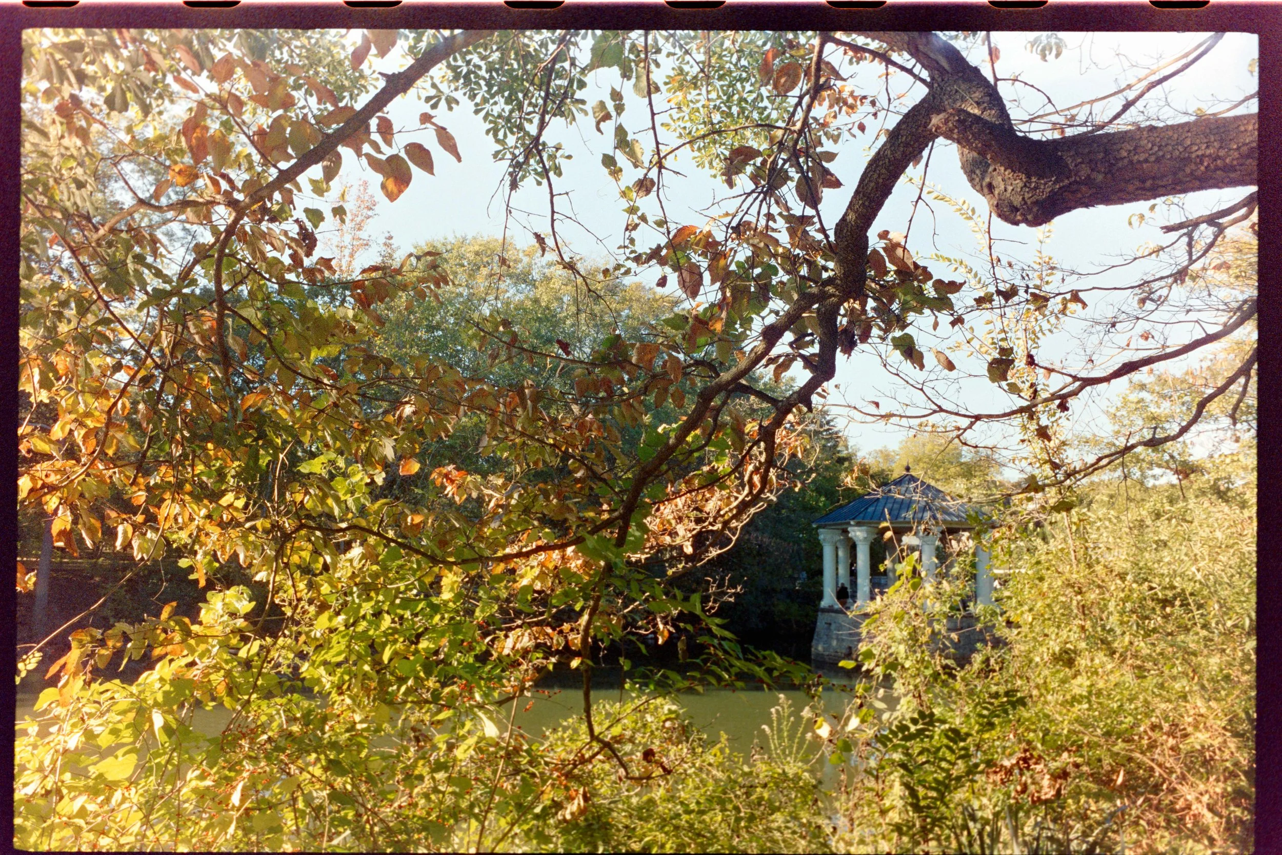 Minolta SRT 101; 35mm 