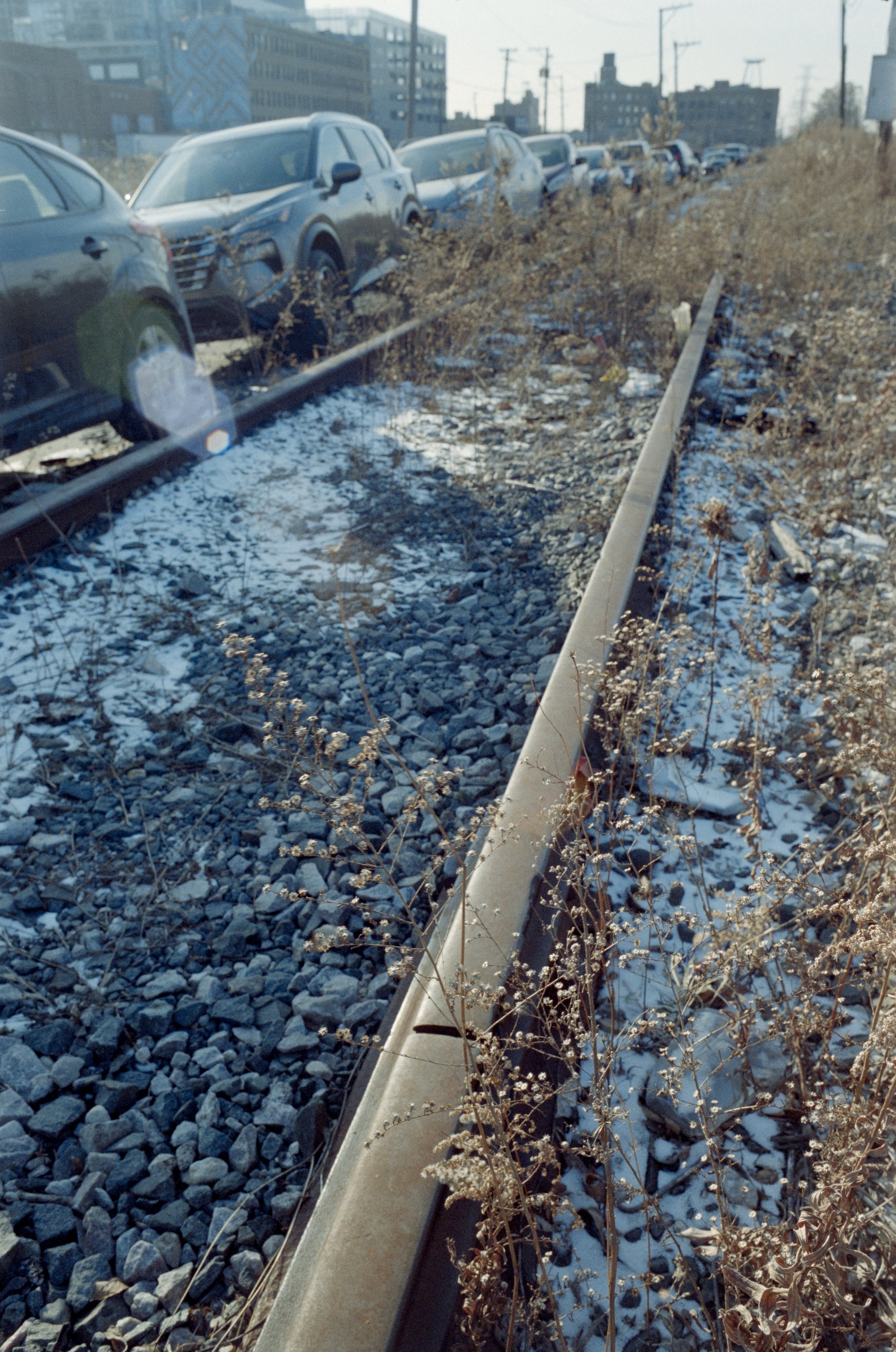 Minolta SRT 101; 35mm 