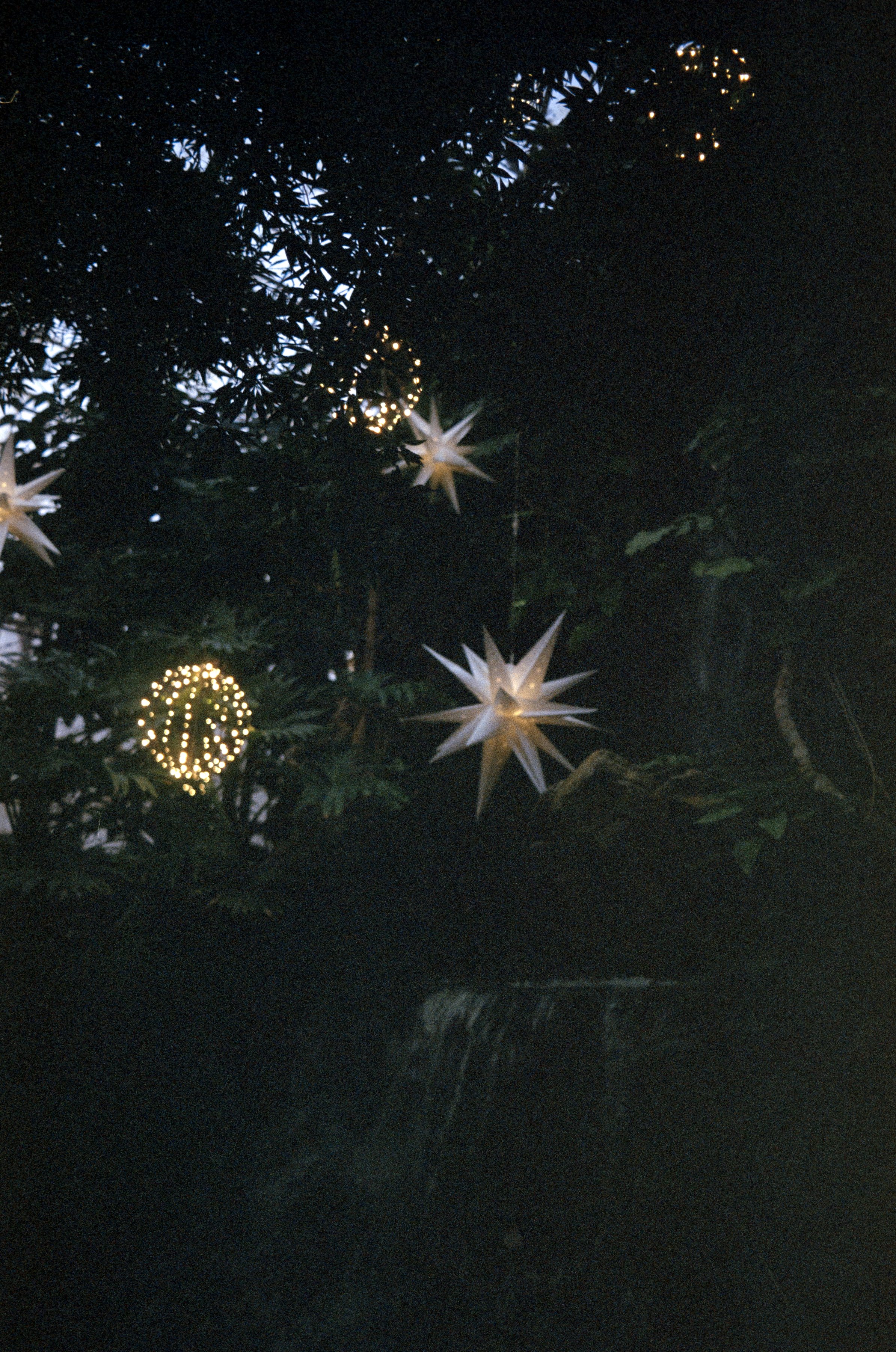 Minolta SRT 101; 35mm 