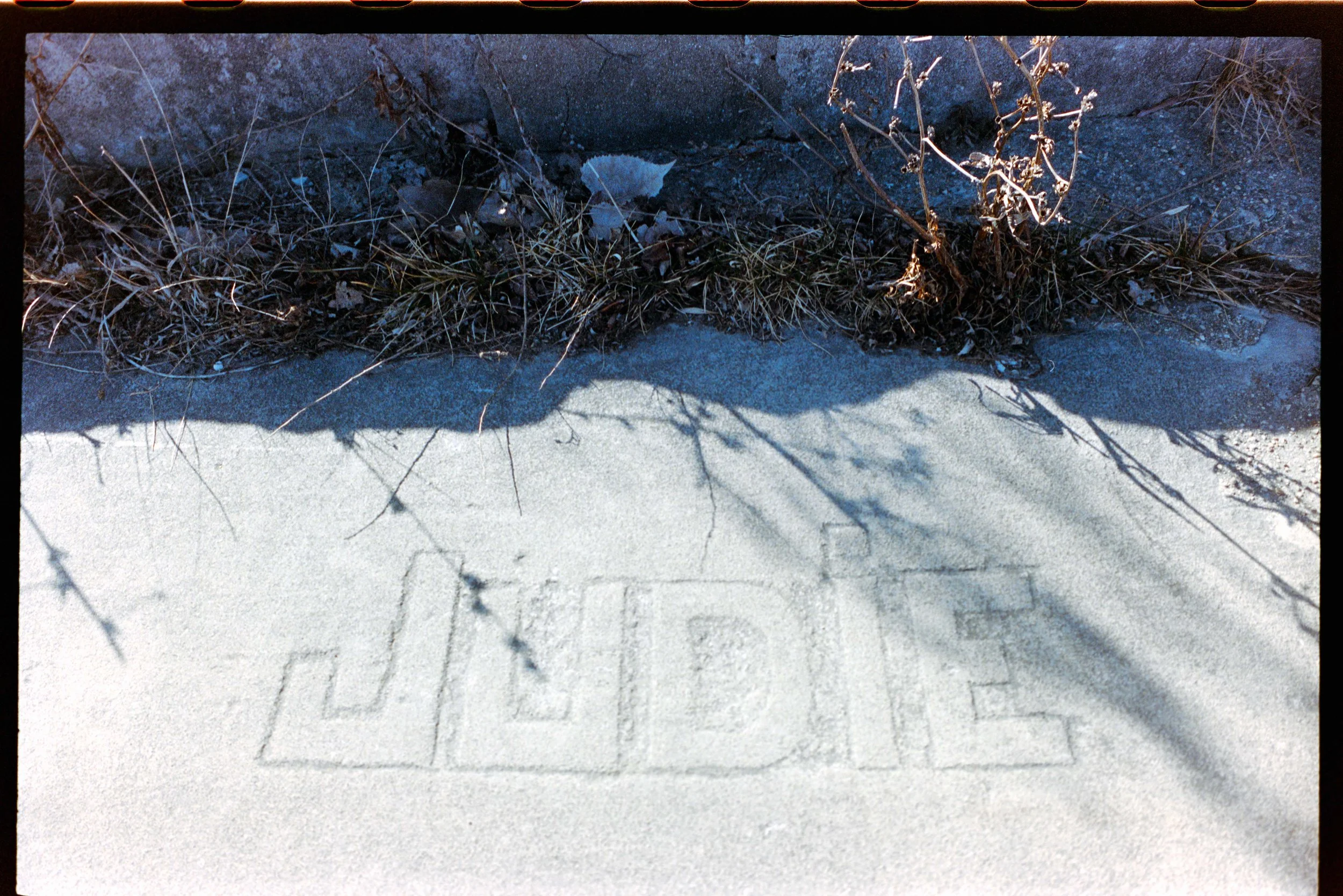 Minolta SRT 101; 35mm 