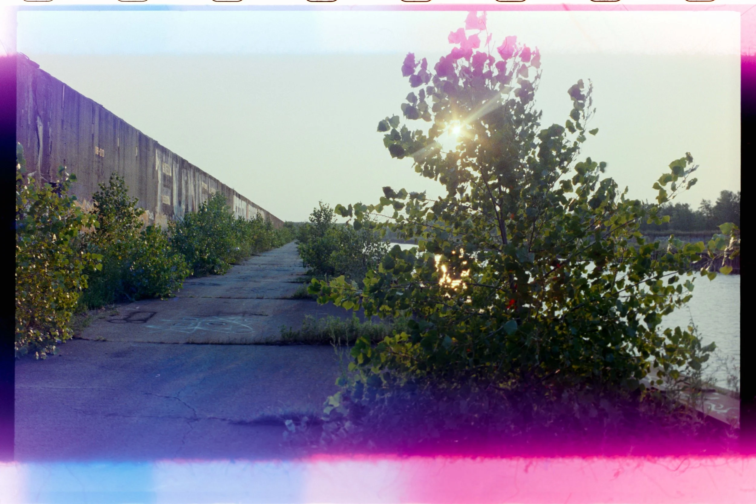 Minolta SRT 101; 35mm 