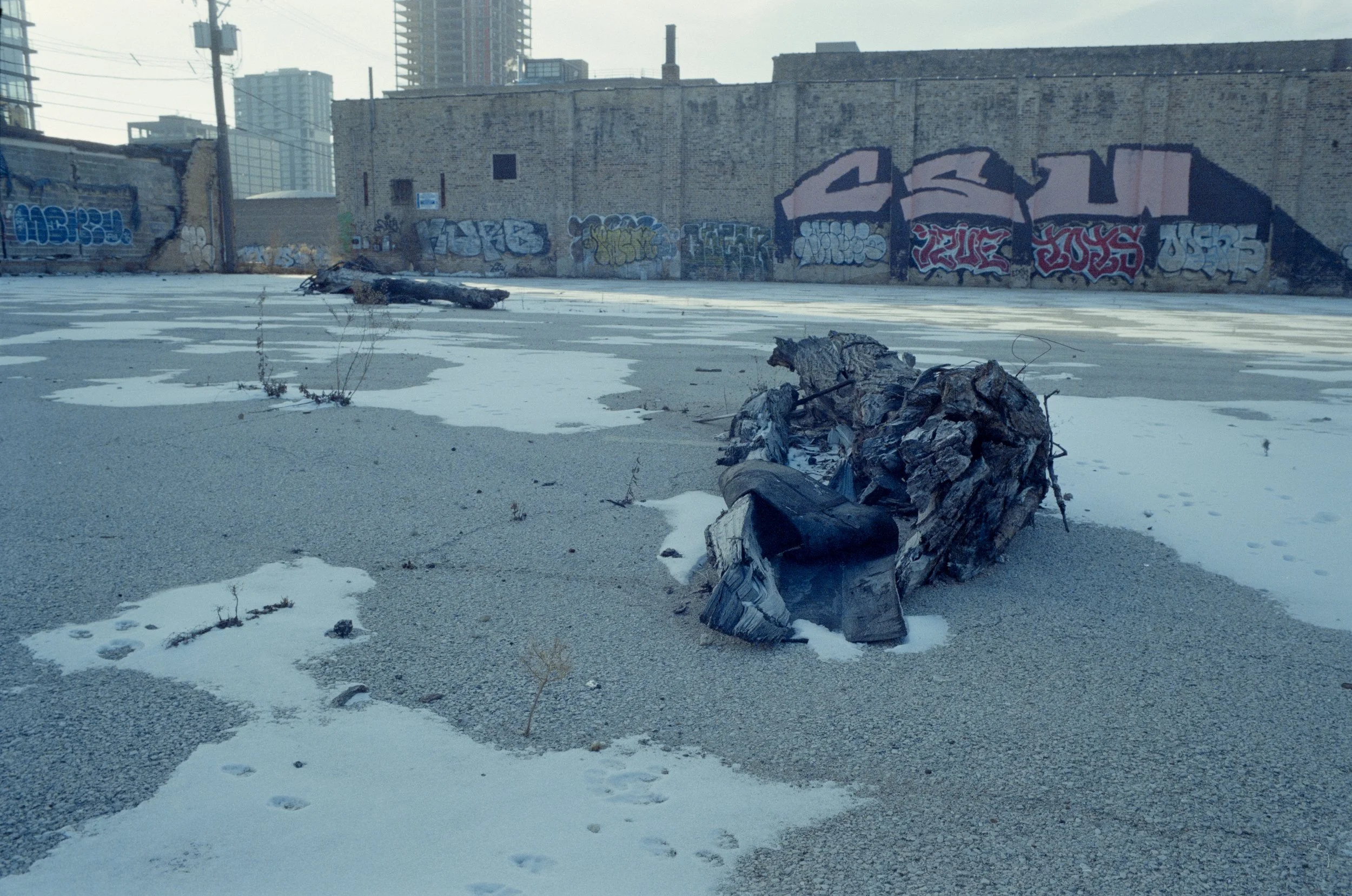 Minolta SRT 101; 35mm 