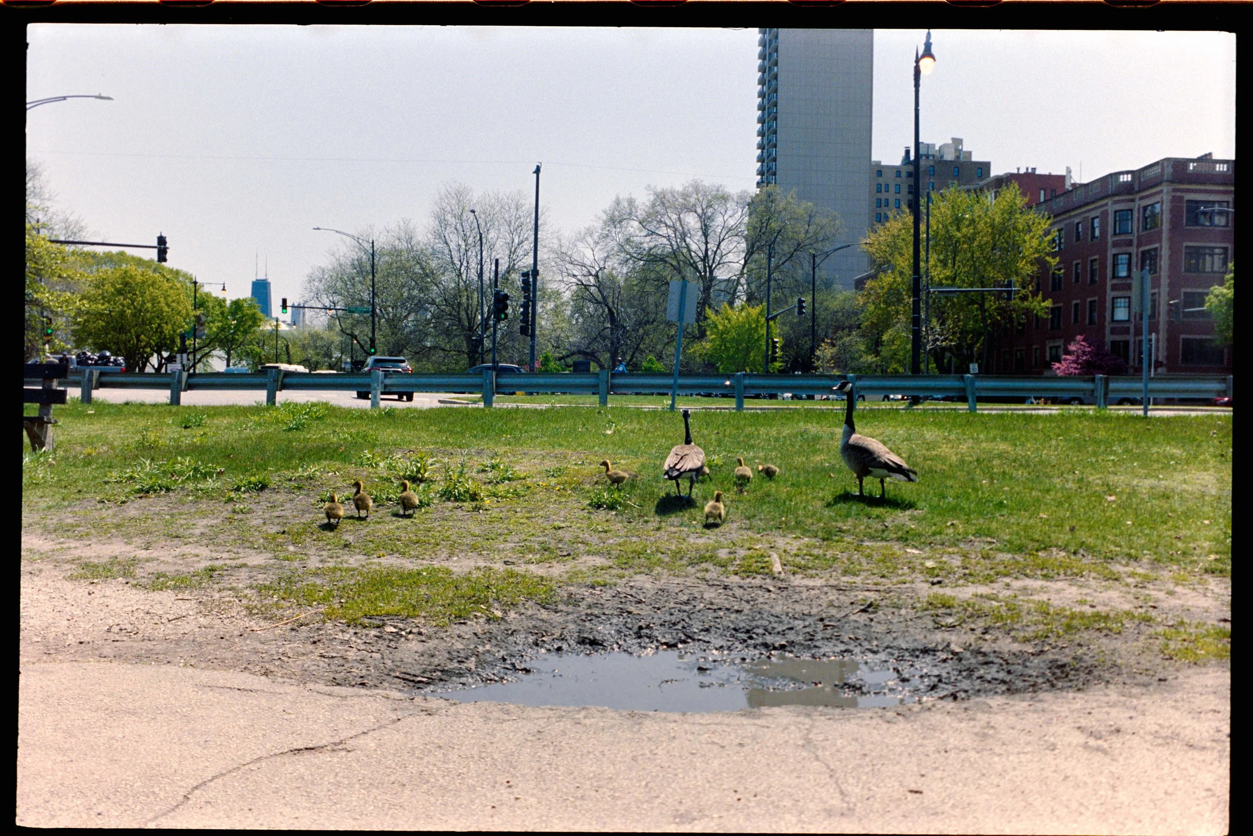 Minolta SRT 101; 35mm 