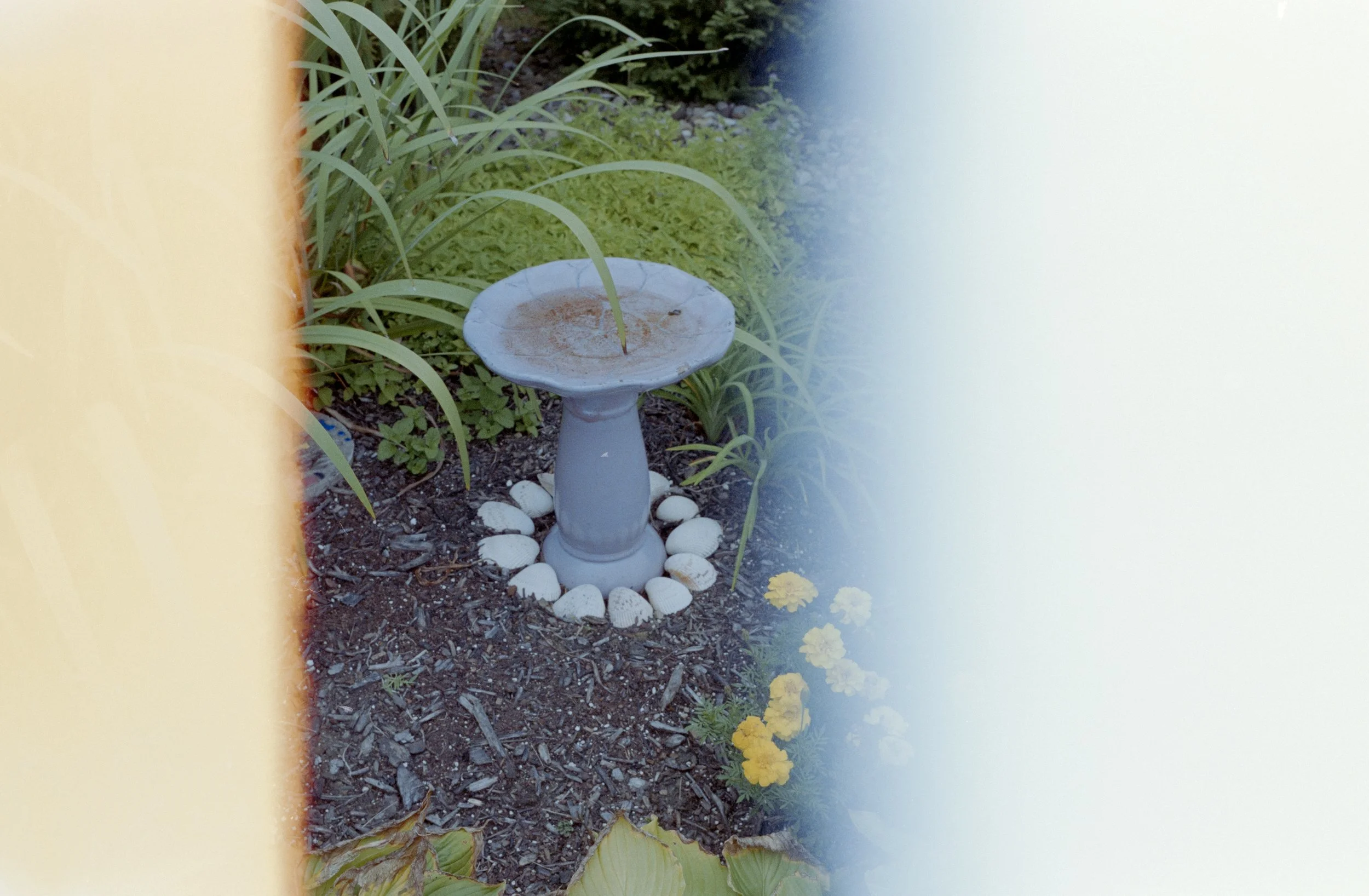 Minolta SRT 101; 35mm 