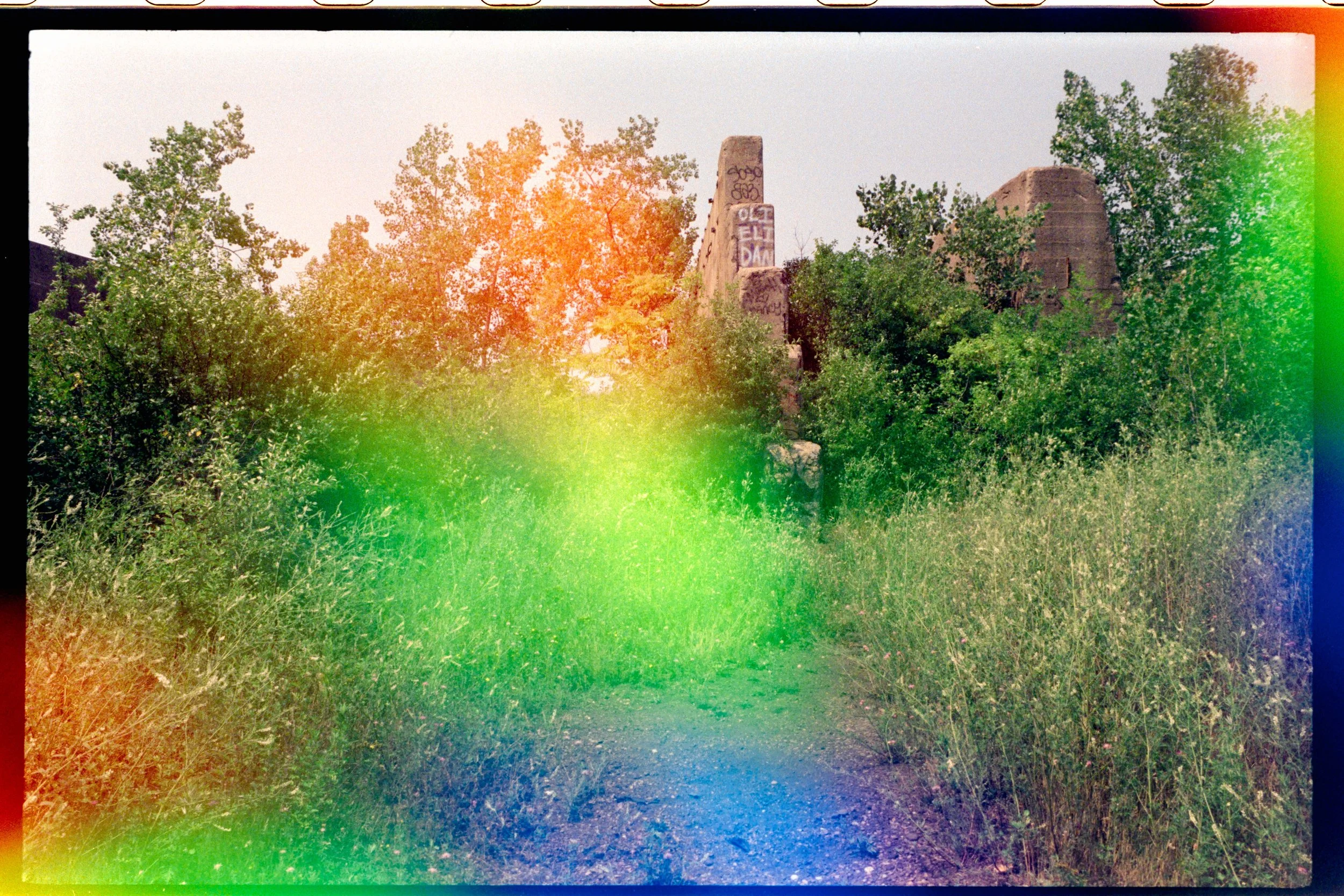 Minolta SRT 101; 35mm 