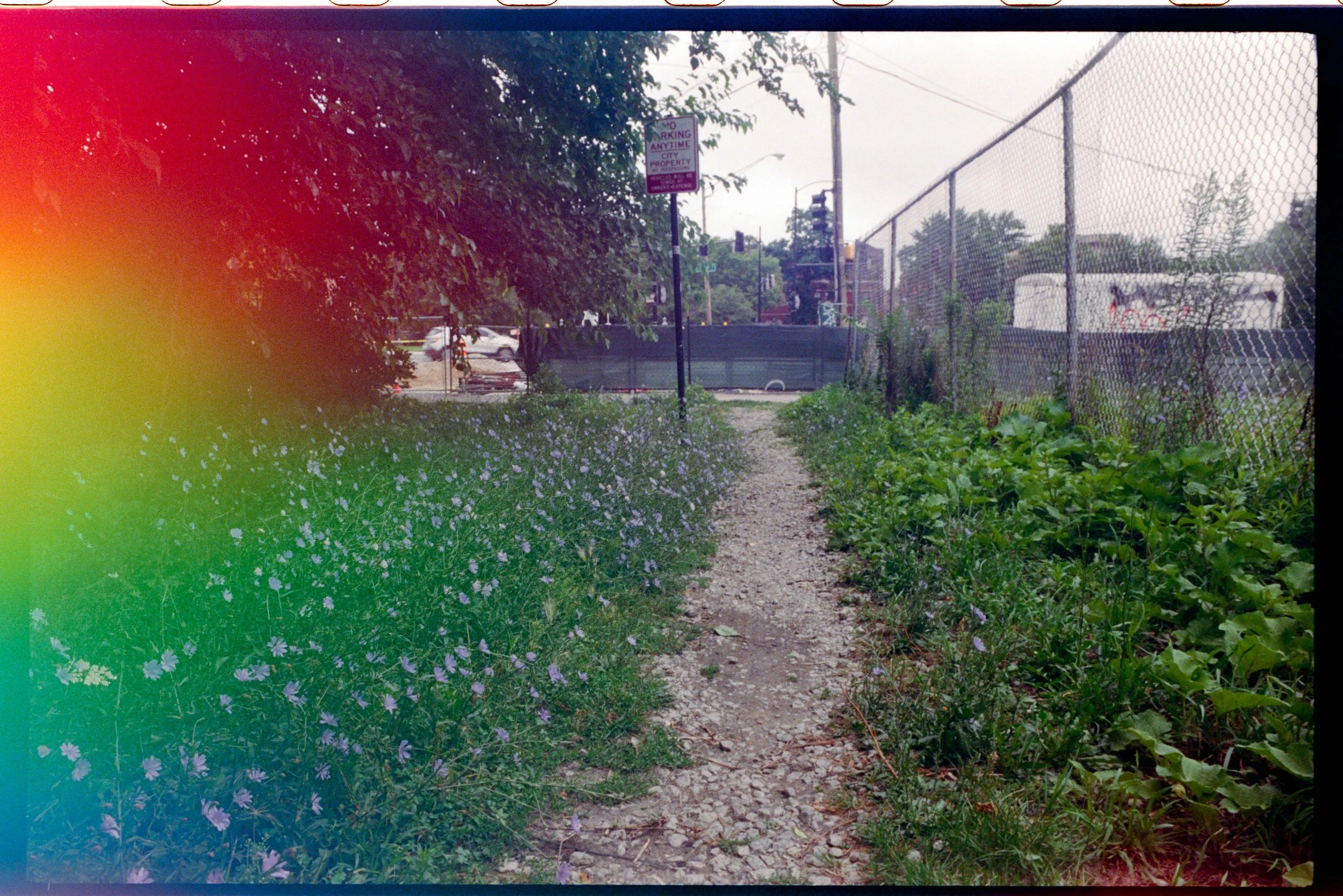 Minolta SRT 101; 35mm 