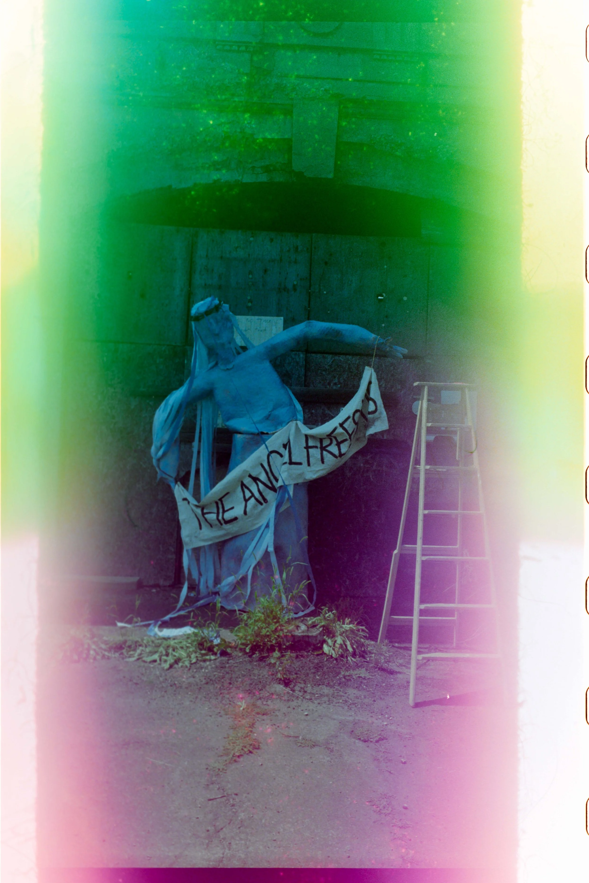 Minolta SRT 101; 35mm 