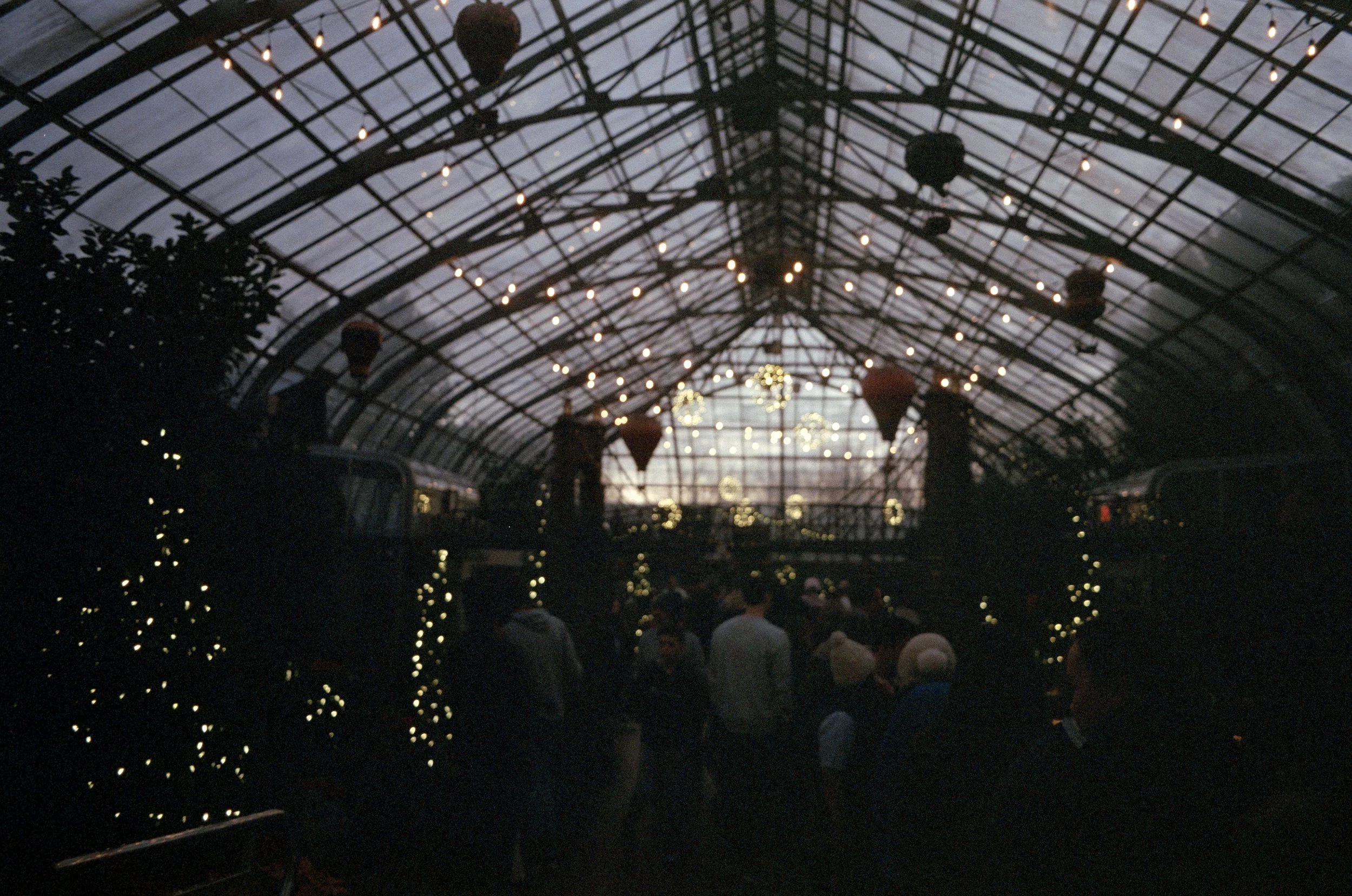 Minolta SRT 101; 35mm 