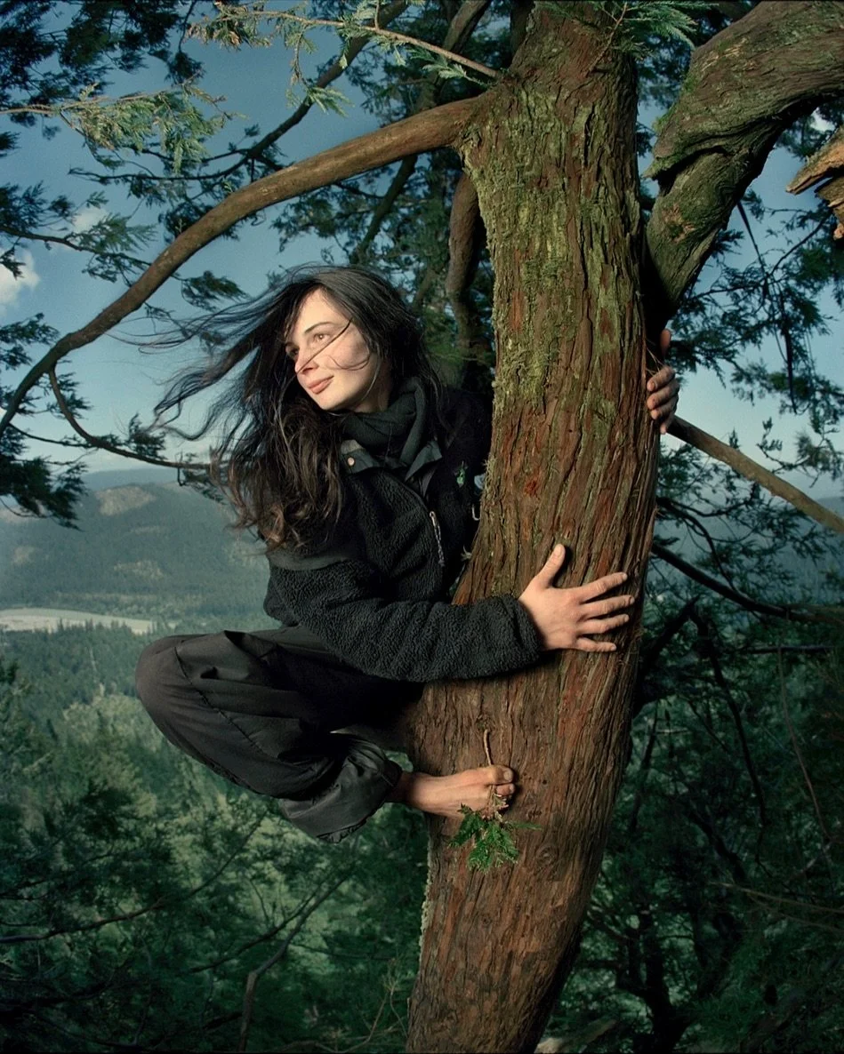 December 18th this year marked the 25th anniversary of Julia Butterfly Hill&rsquo;s descent from her legendary stay in a giant, fifteen-hundred-year-old, 55-meter-tall redwood tree in Northern California.

Her initial intention was to spend one week 