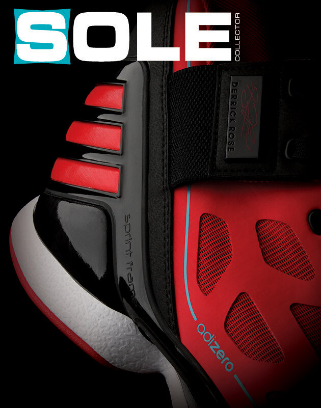 DRose Sub Cover 38.jpg