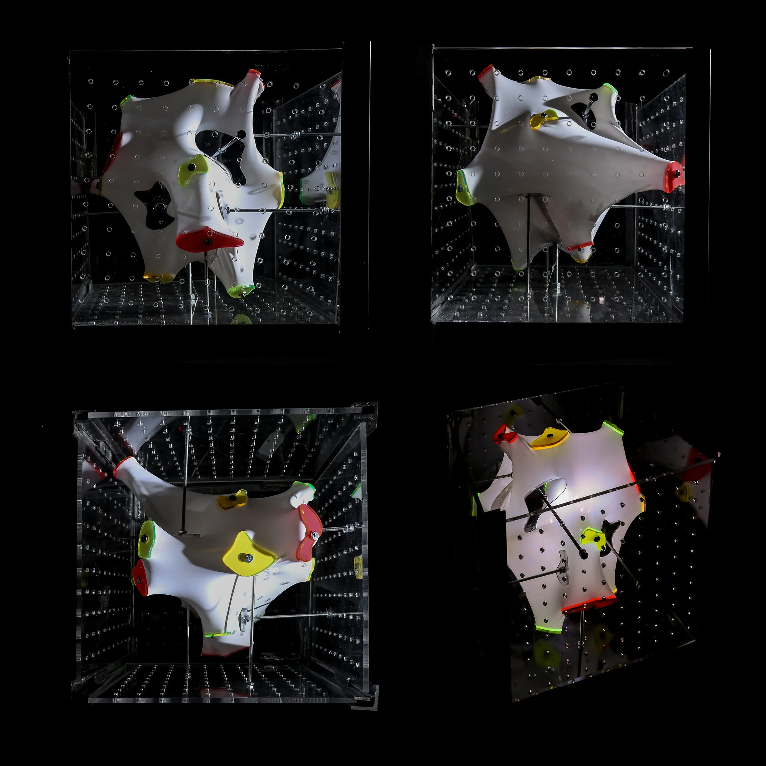 Synthesizing — Metabolizing: This last study becomes the shell of my library in which the acrylic pieces are the window to the new perspective that frames fragments of the building. Moreover, the shape of the shell absorbs the memories of the site, …