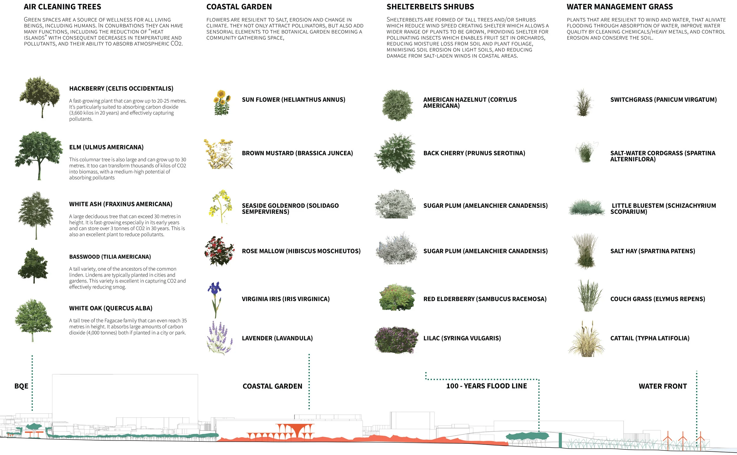 Package_REALFINAL2 13.jpg