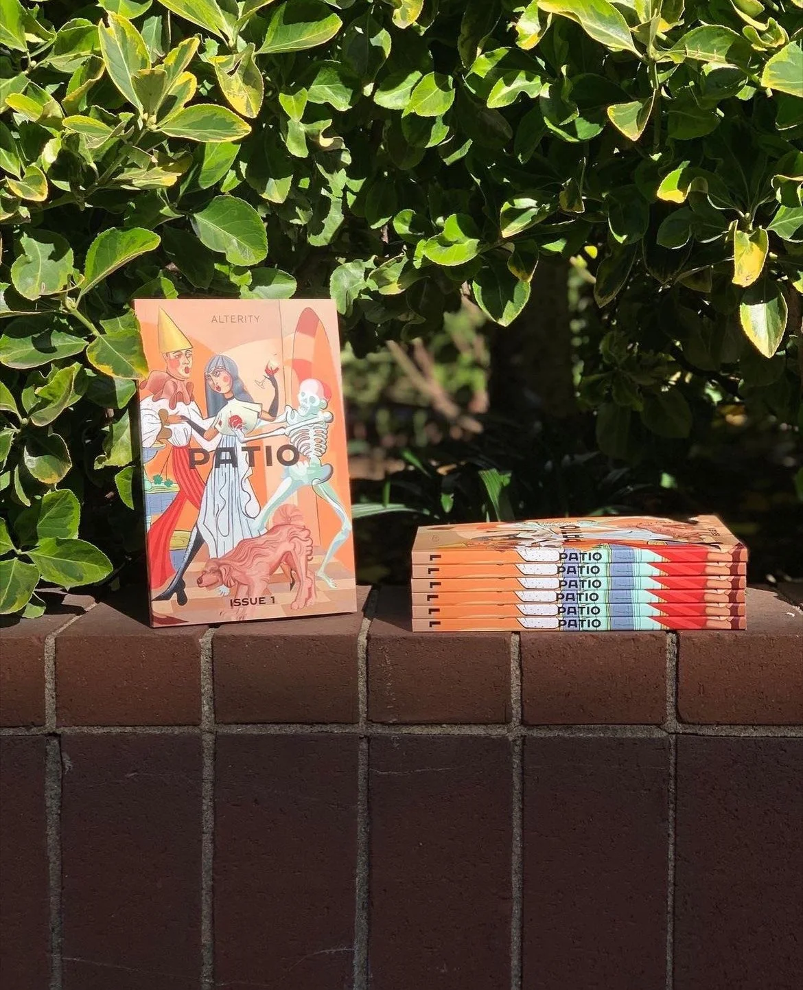 Dec 2021 - Launch of the physical copy of "Patio," LatinGSAPP's first-ever publication (Editorial Team and Book's Graphic Designer).