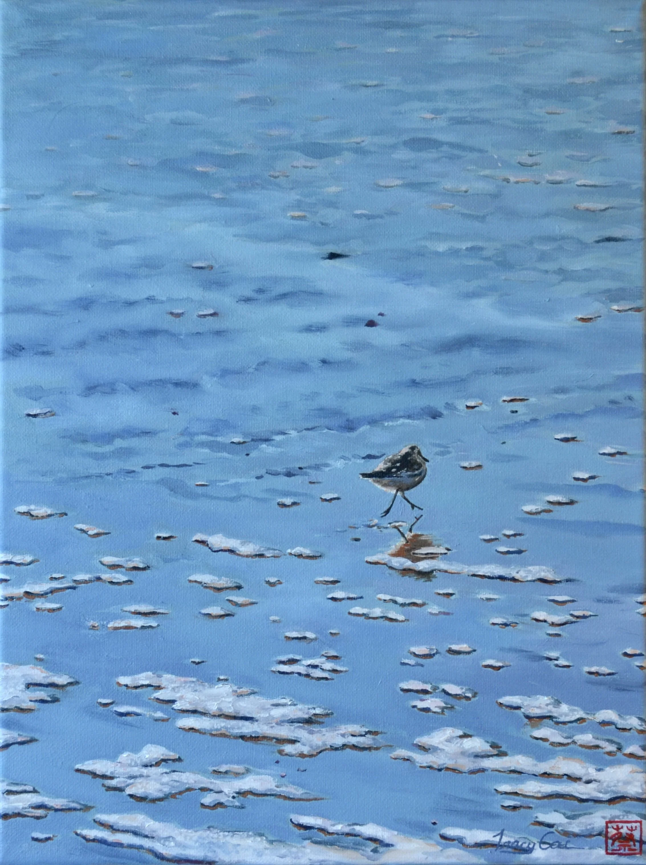   "Sandpiper on the Beach"   (12"x16", Oil on canvas, 2026)