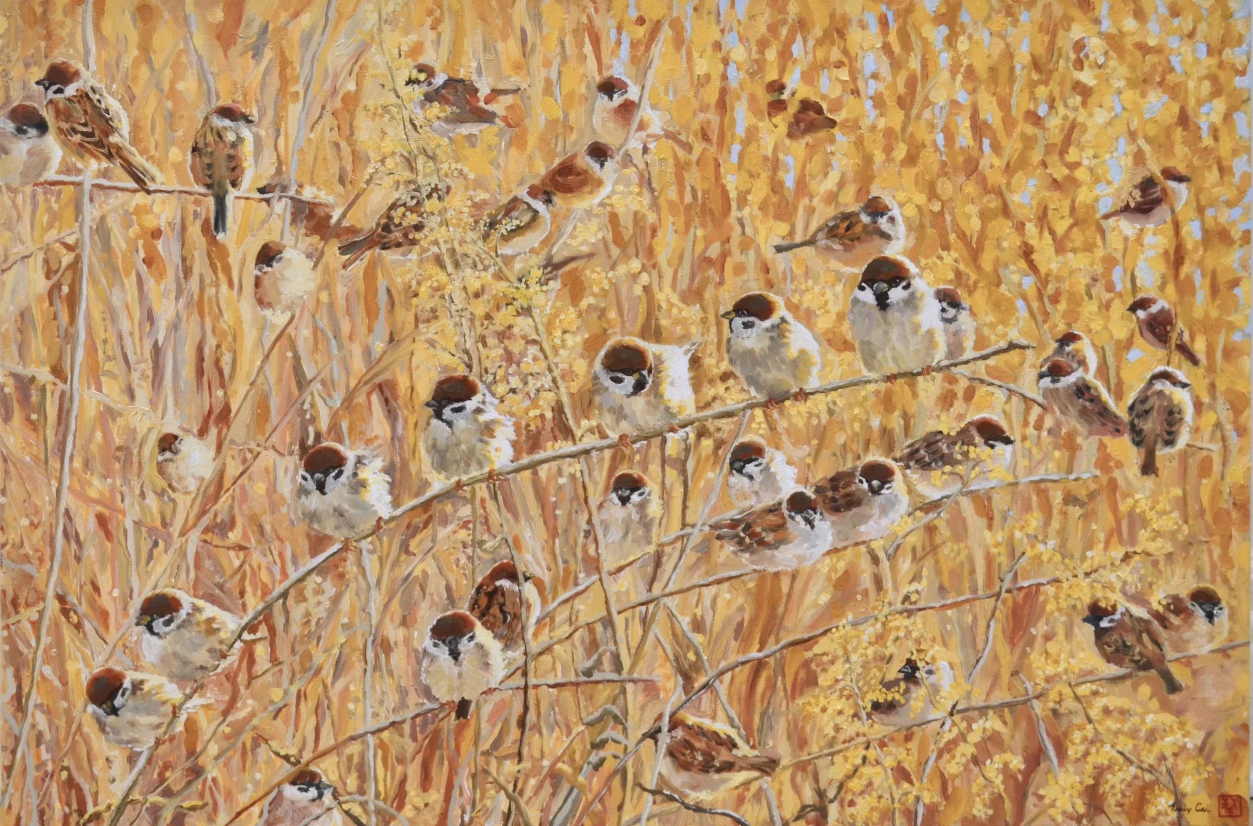   "Eurasian Sparrows in the Field"   (24”x36” - Oil on canvas, 2025)