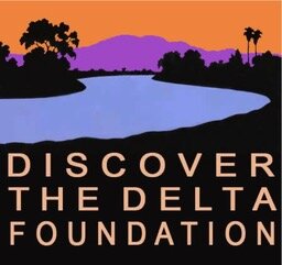 Discover The Delta