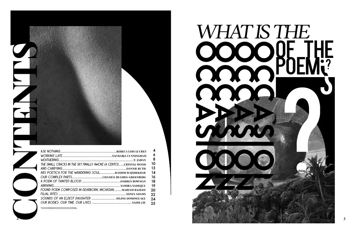 Ekphrasis Zine(page2-3).jpg