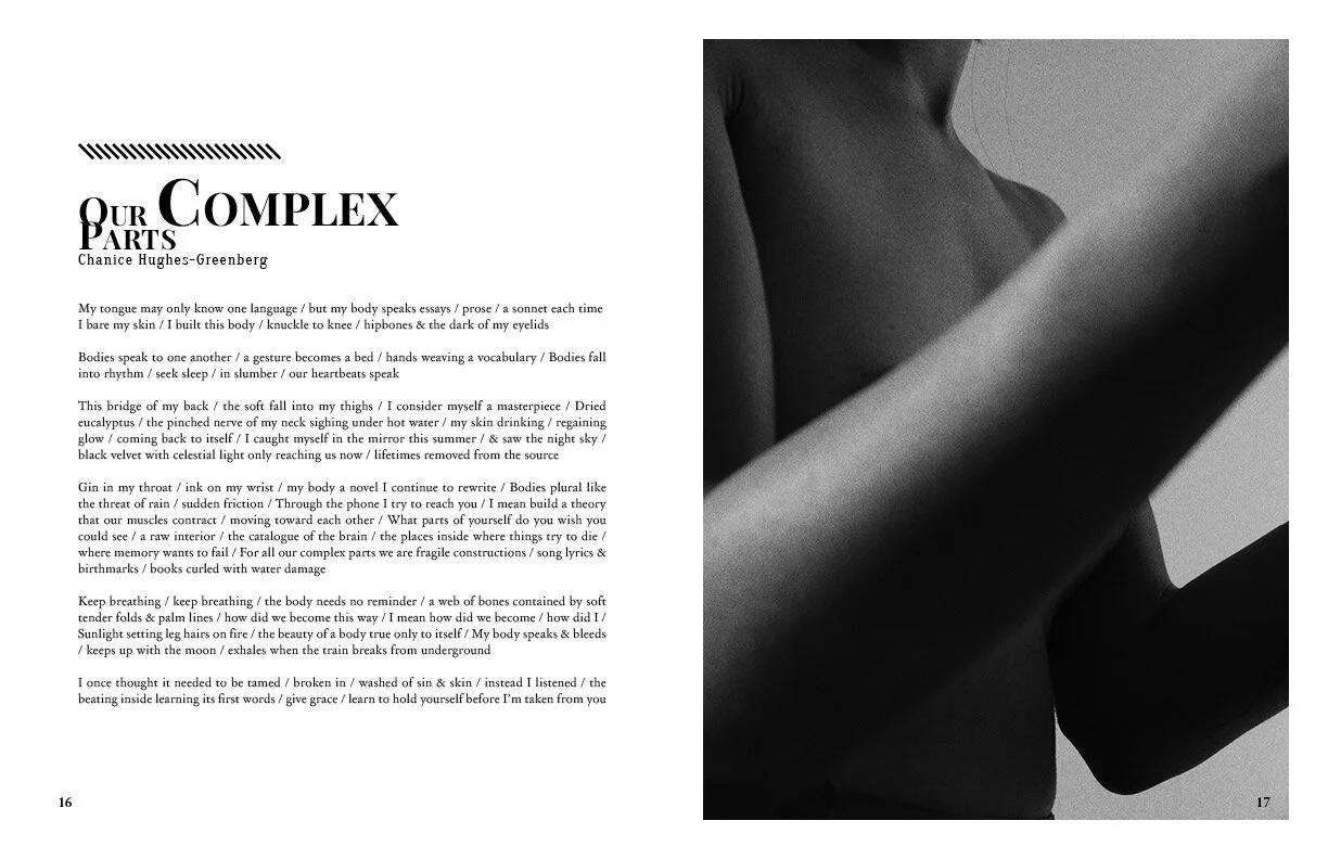 Ekphrasis Zine(page16-17).jpg