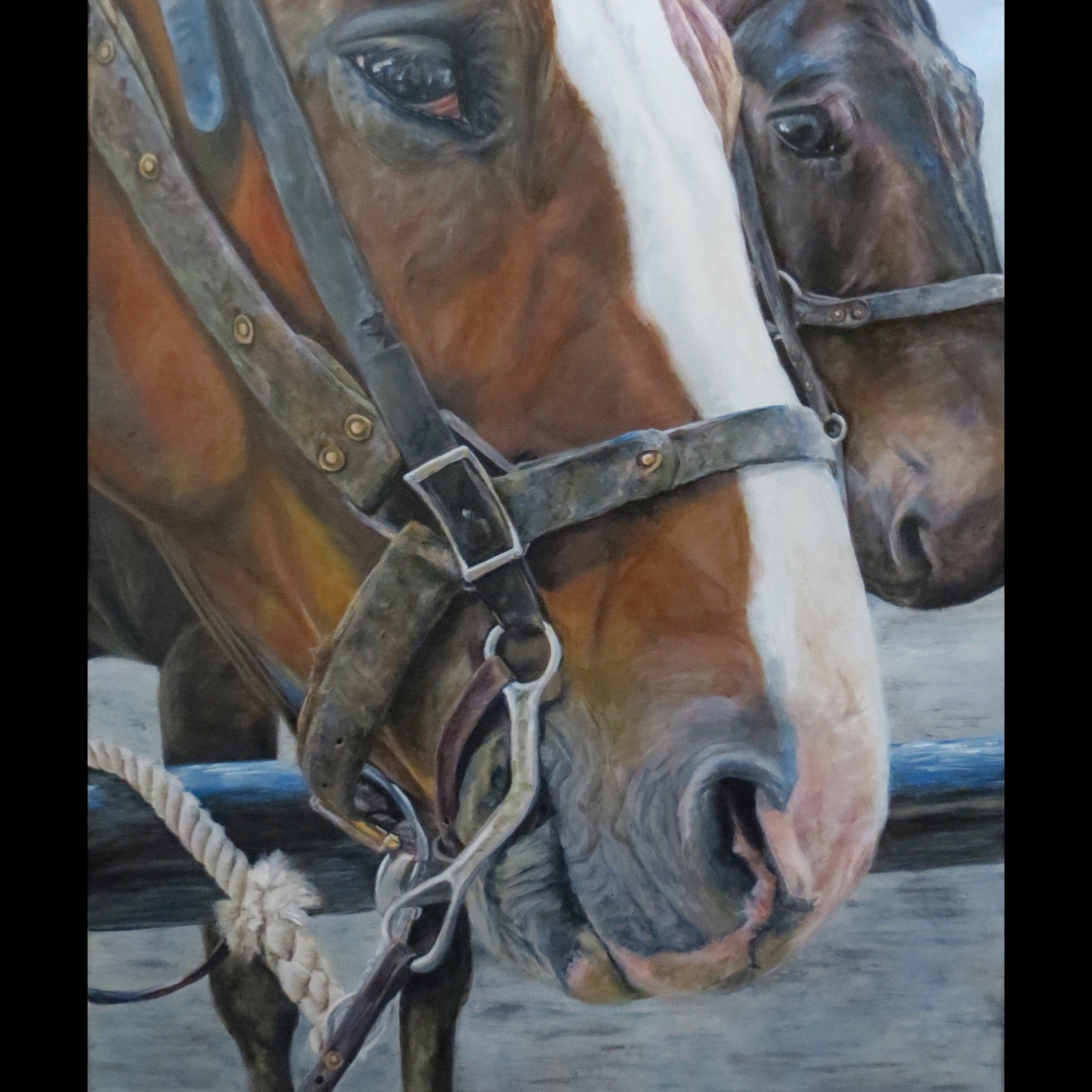 Friend the Mule - 18" x 24"
