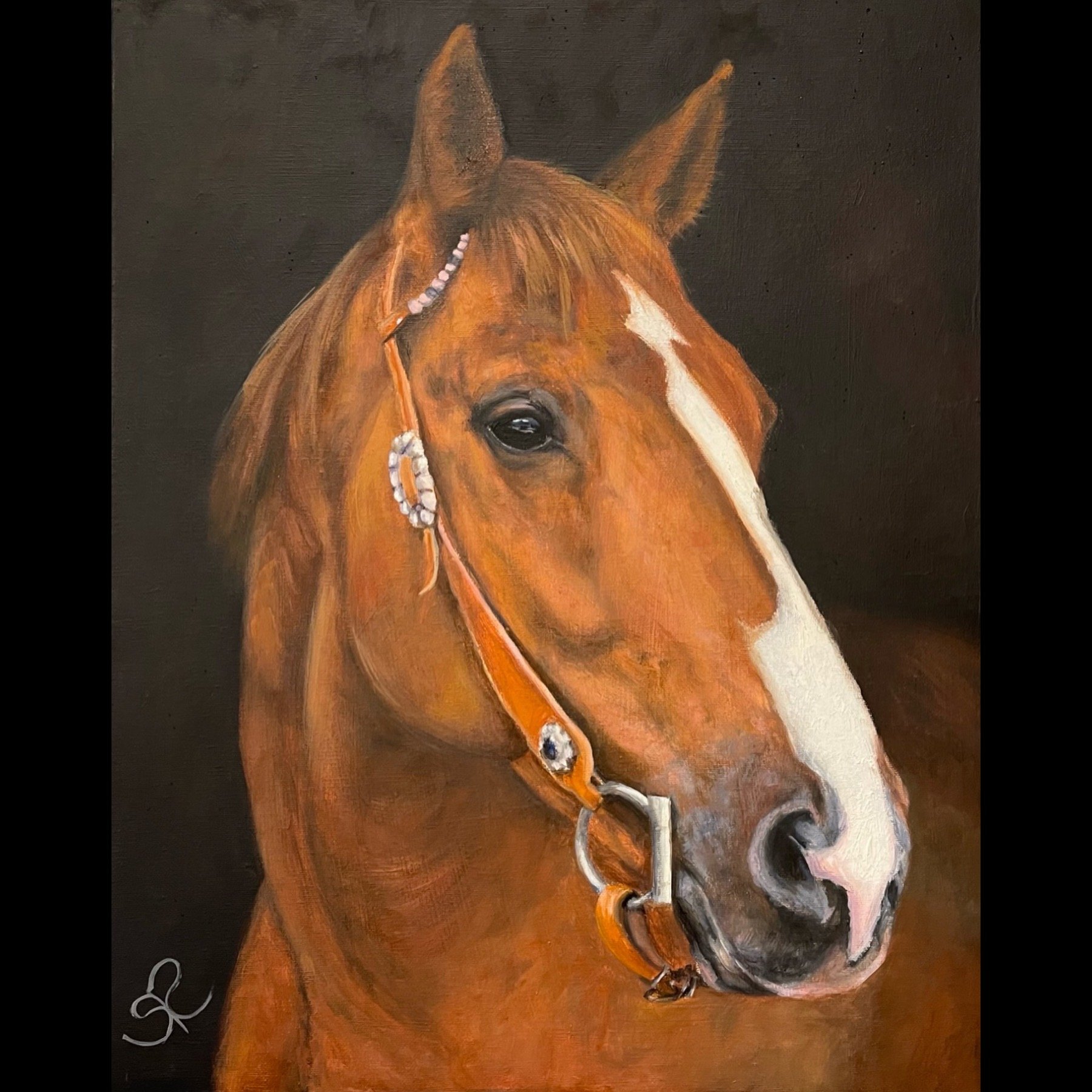 Show Ready - 16" x 20"