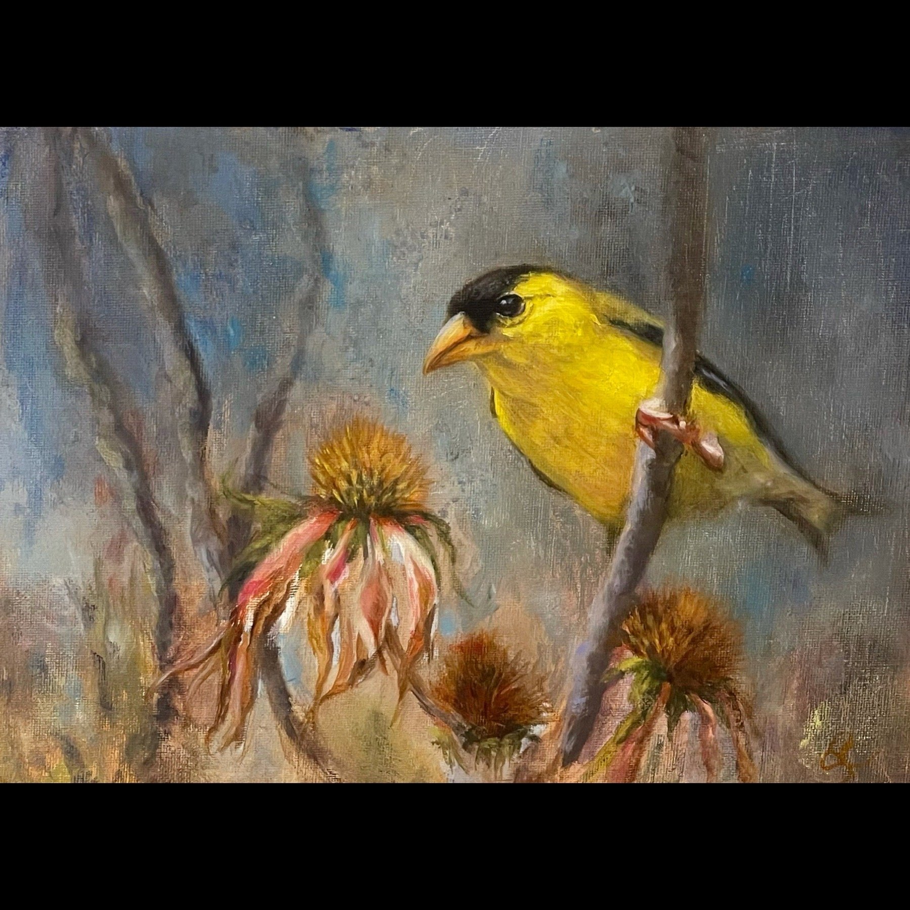 Goldfinch -11" x 14"