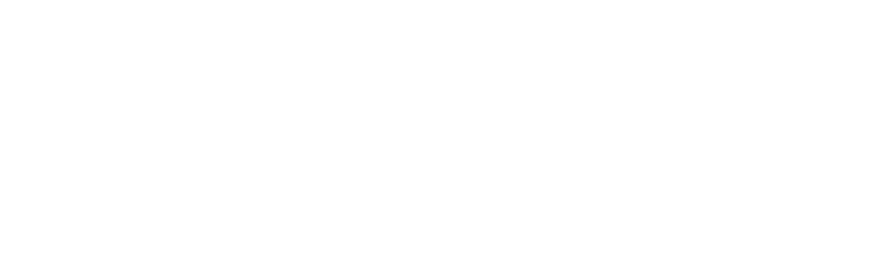 The Permitting Institute