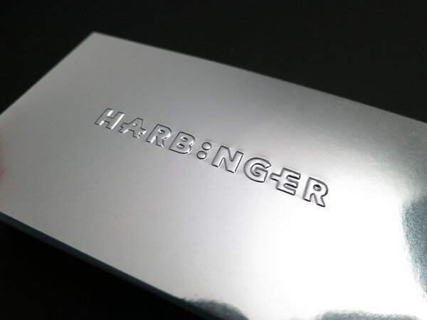 silver mirror embossed business card.jpg