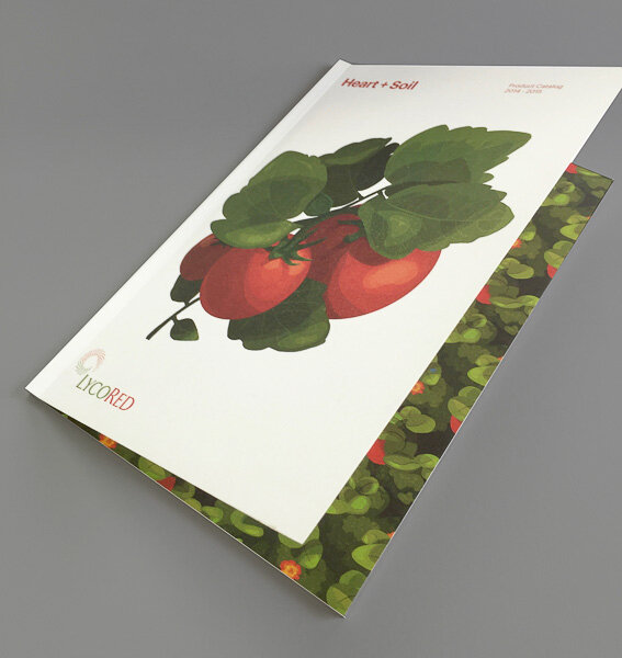 full color offset book printing.jpg