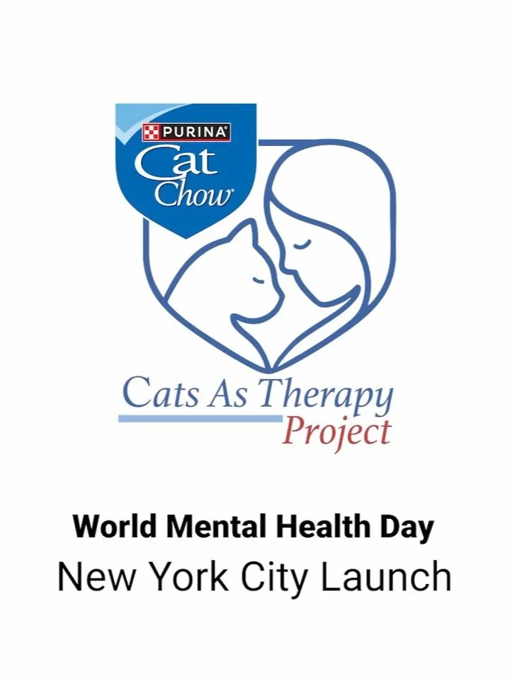 Experiential can be joyful and purposeful.

For World Mental Health Day, Svedvik Collective partnered with Purina Cat Chow and Pet Partners to bring the Cats As Therapy Project to campus&mdash;turning a powerful insight into a tangible, human-centere