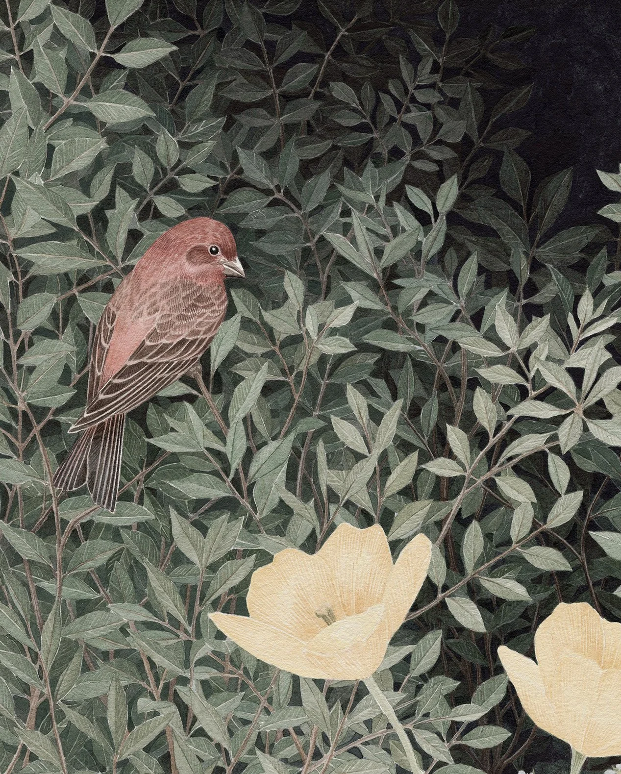5.InTheShadows_Detail.jpg