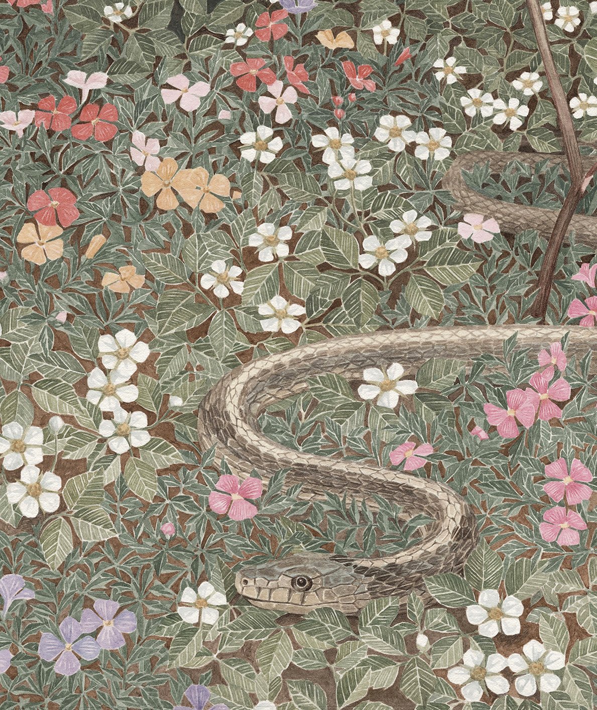 13.Ophidian_detail.jpg