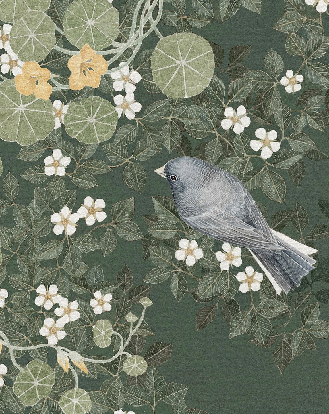 6.Detail_Juncos.jpg