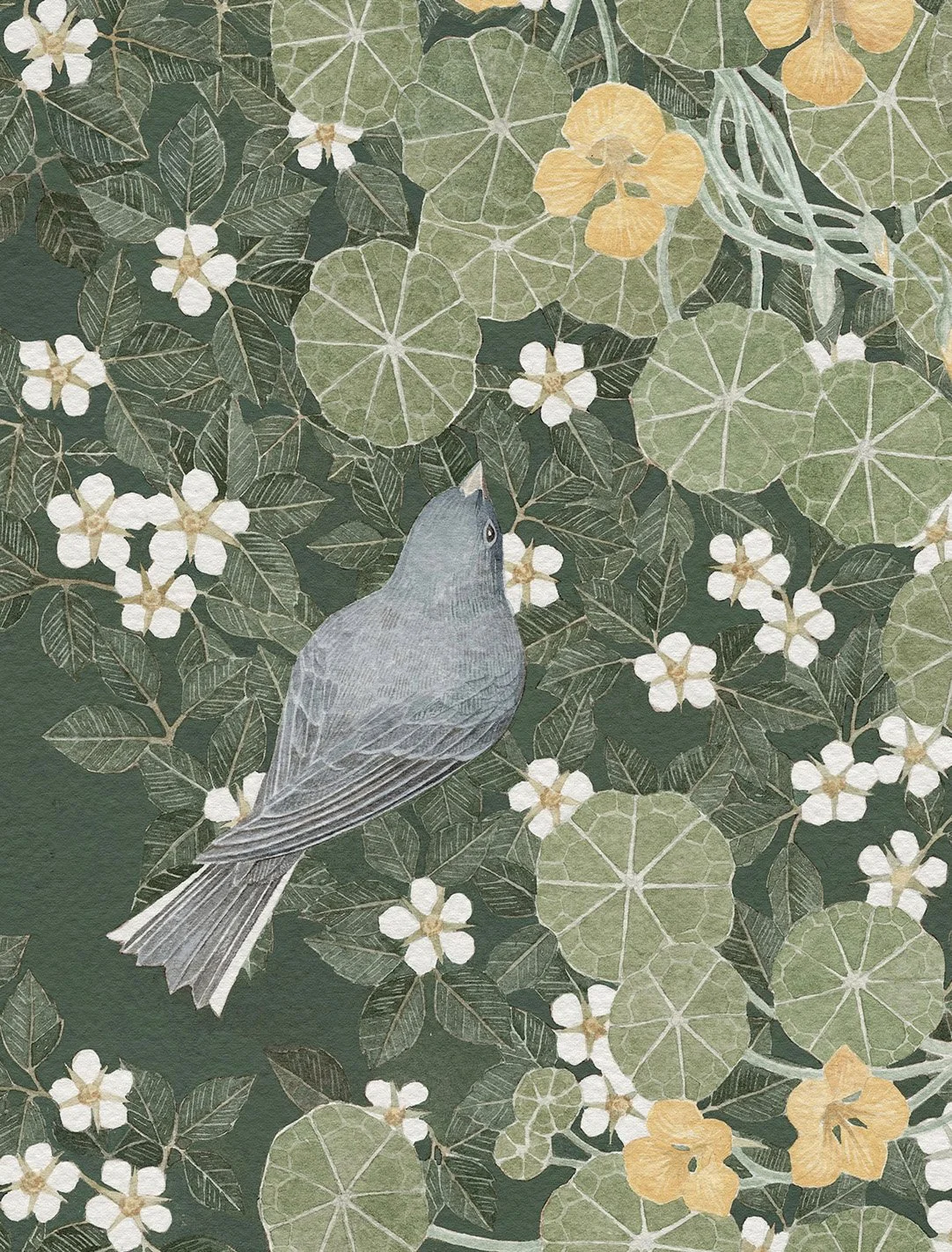 6.Detail_Juncos2.jpg