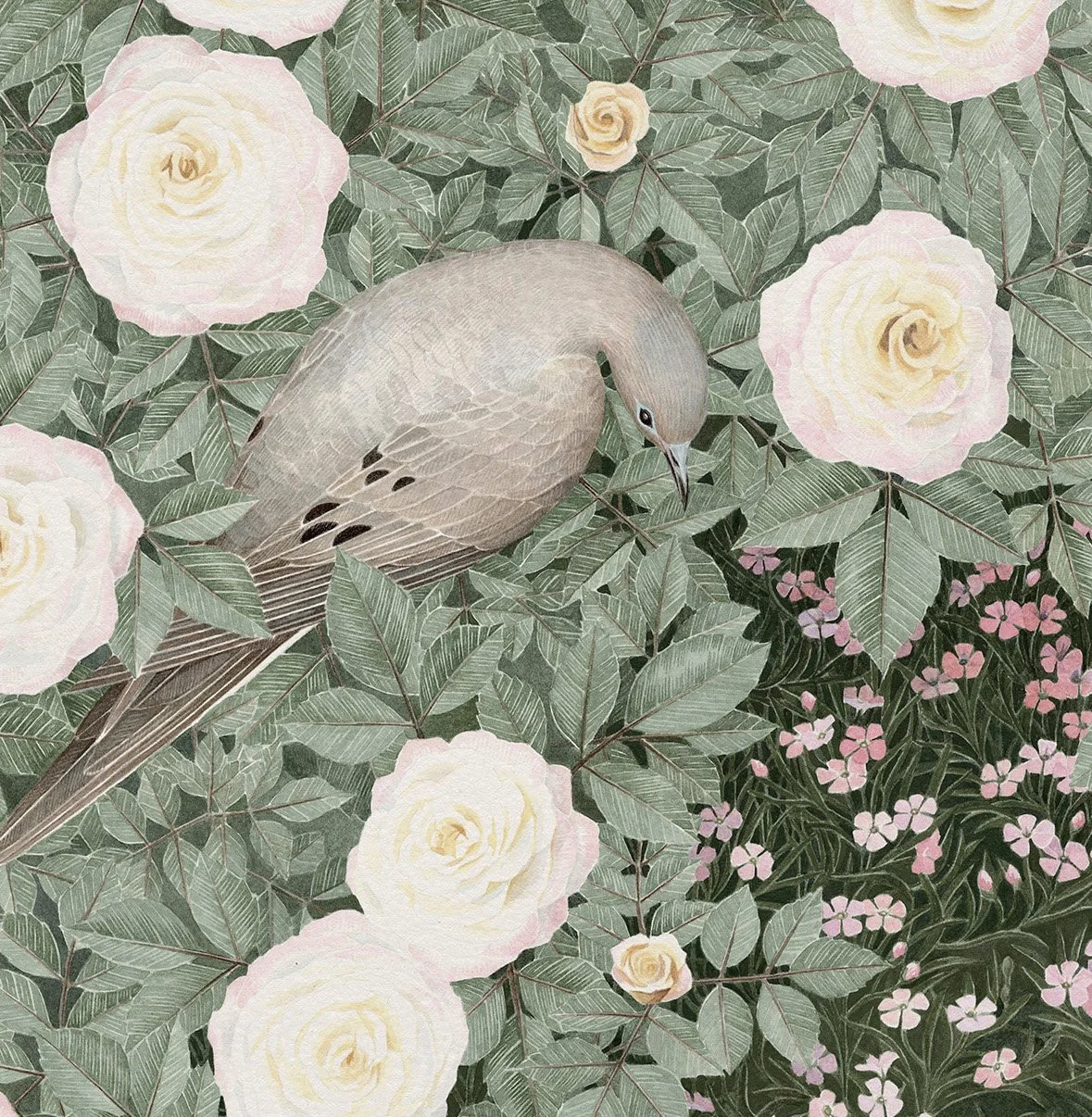 4.MourningGlory_detail copy.jpg