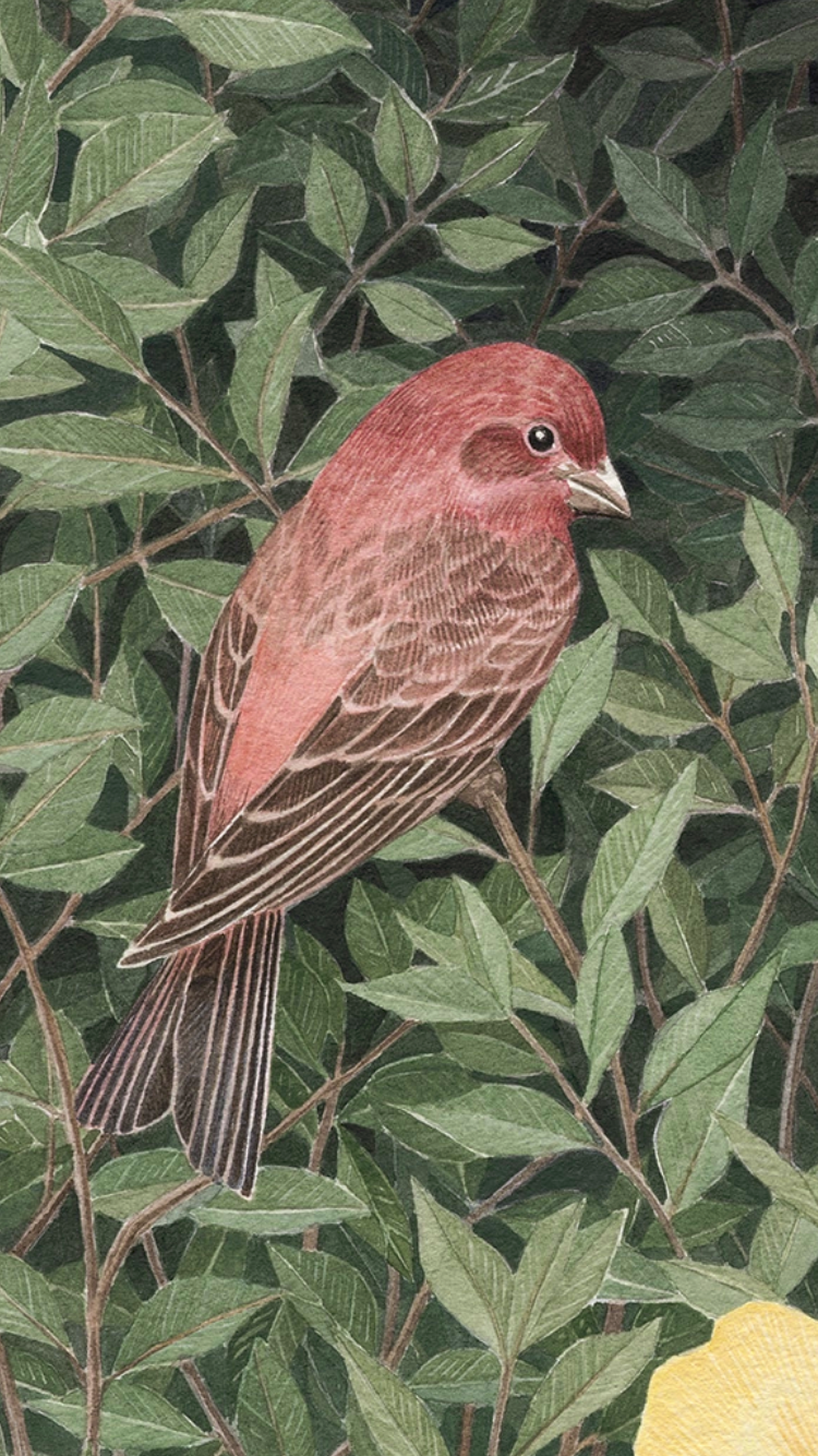 IMG_4298.PNG